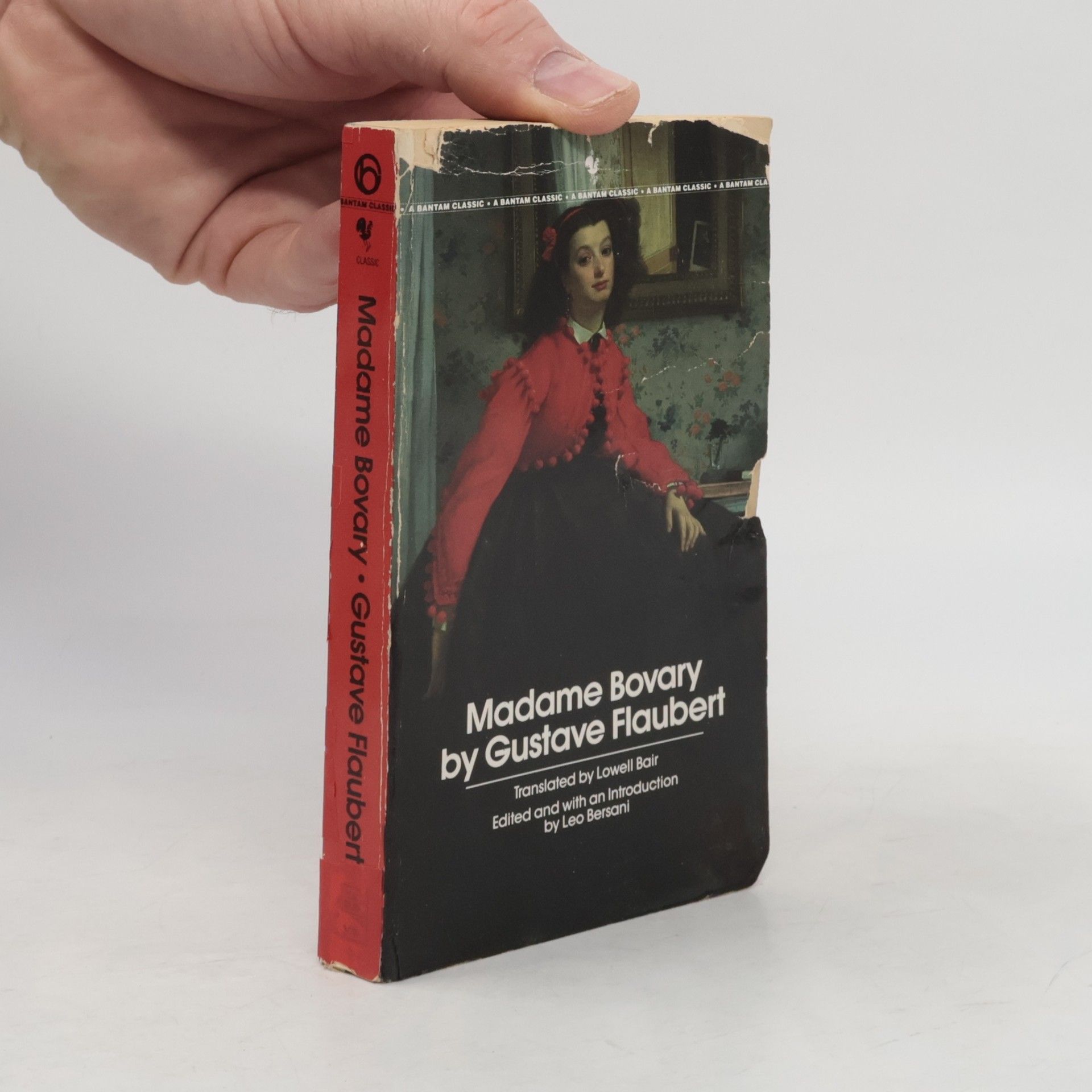 Gustave Flaubert Madame Bovary