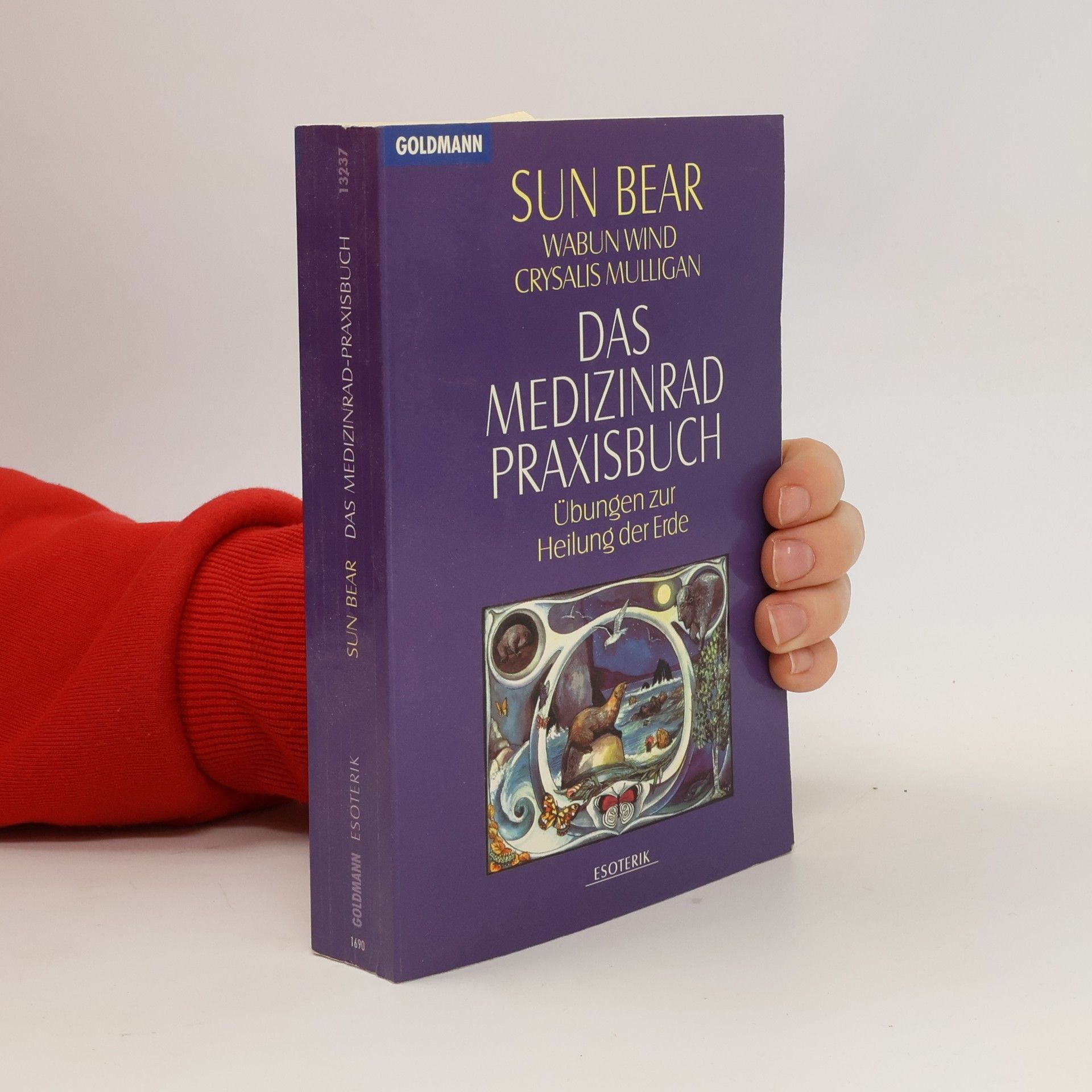 Sun Bear Das Medizinrad-Praxisbuch
