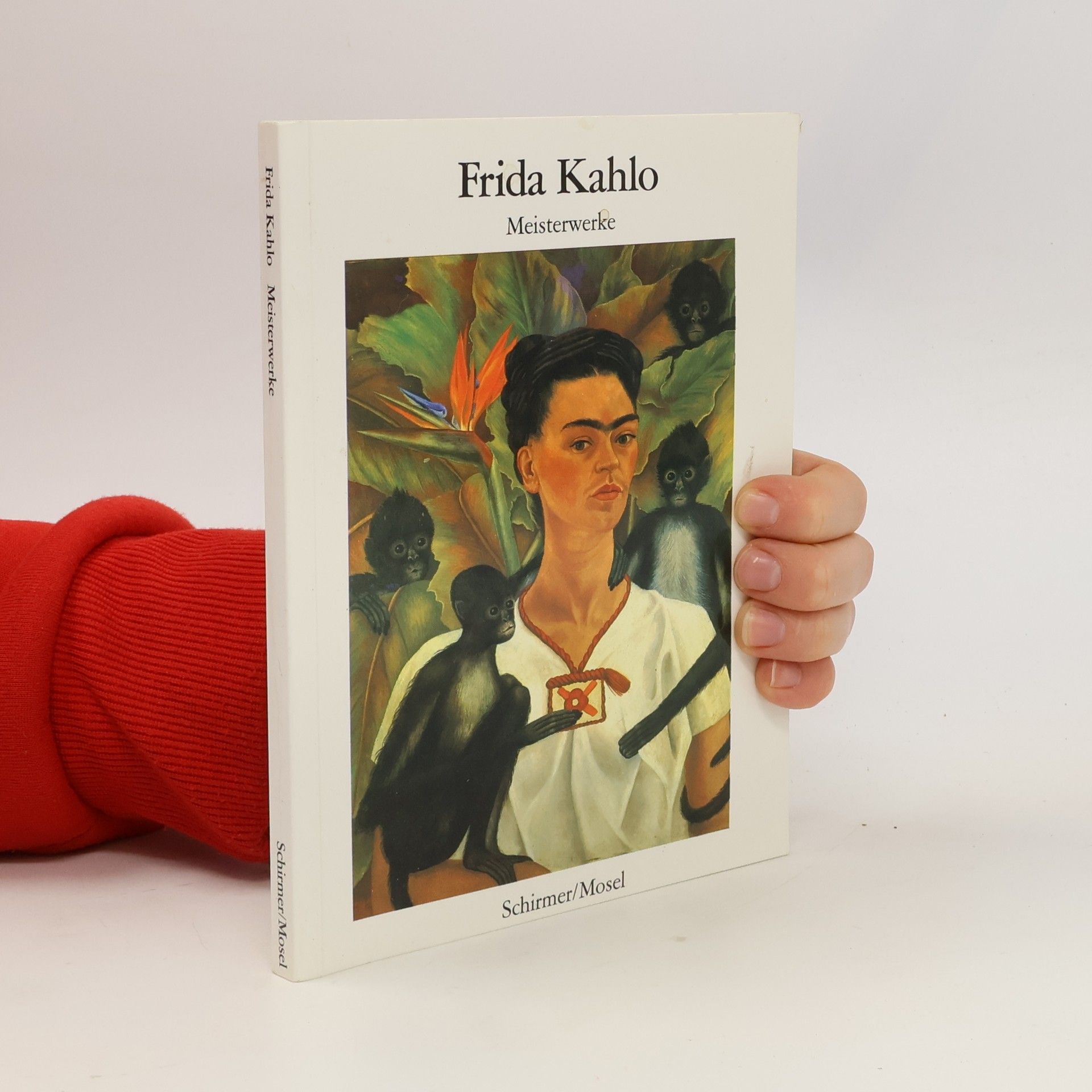 Frida Kahlo. Meisterwerke
