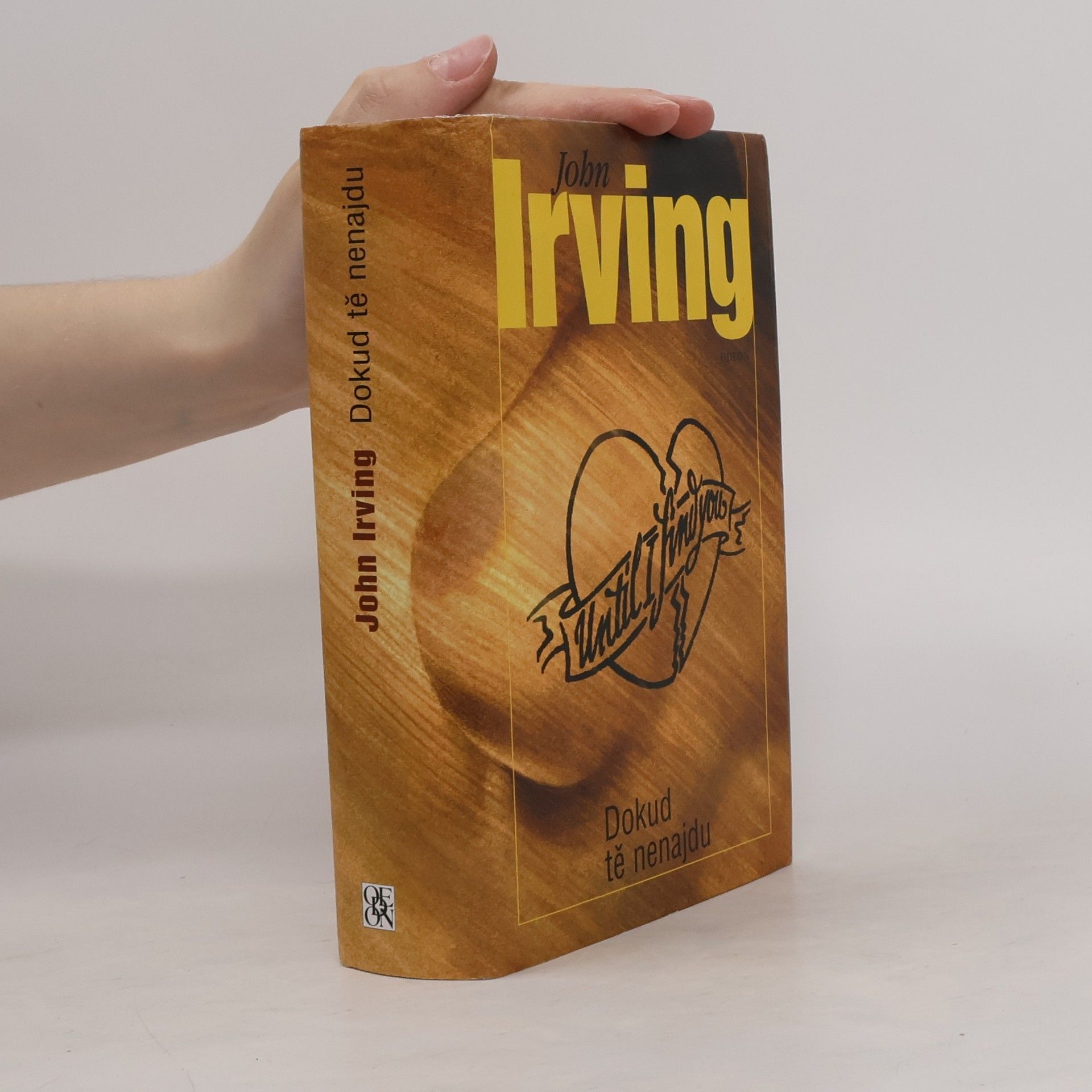 John Irving Dokud tě nenajdu