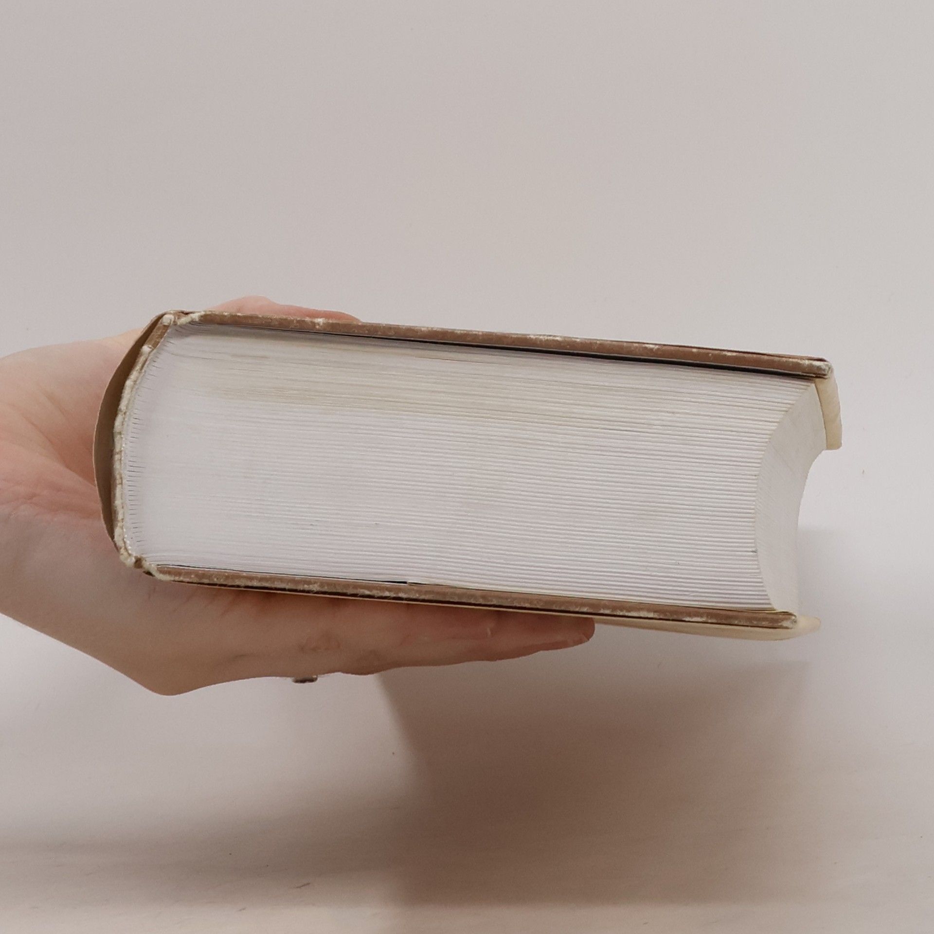 John Irving Dokud tě nenajdu