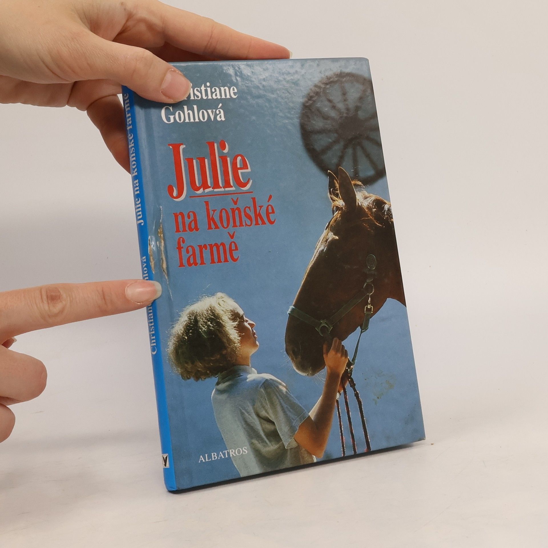 Christiane Gohl Julie na koňské farmě