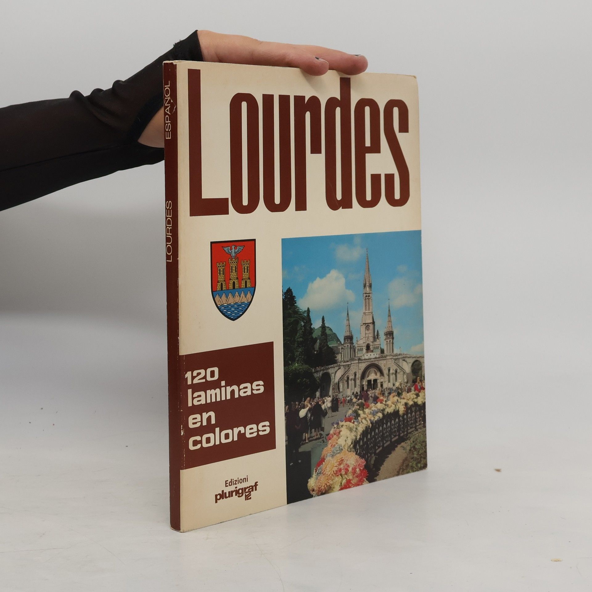 Kolektiv autorů Lourdes