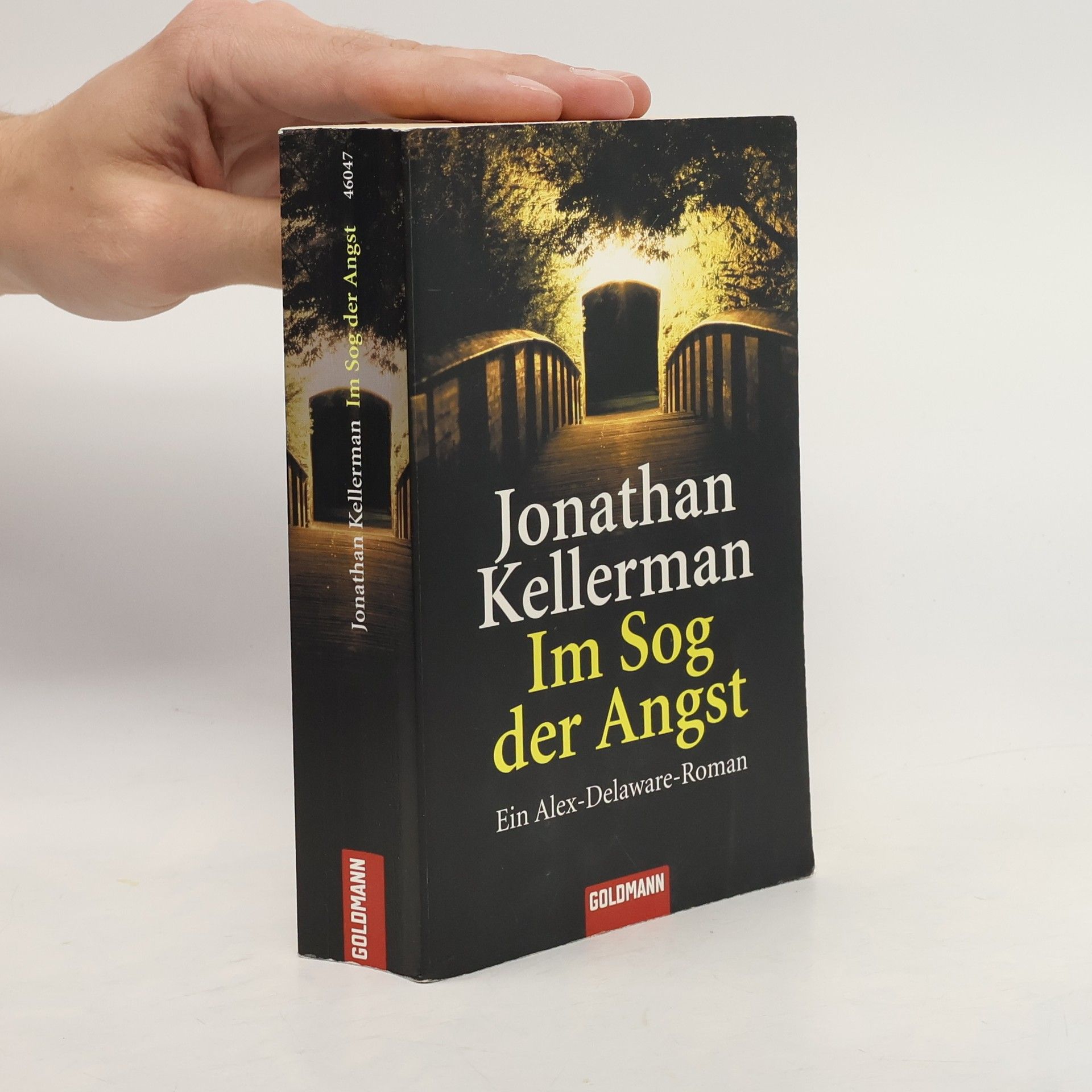 Jonathan Kellerman Im Sog der Angst
