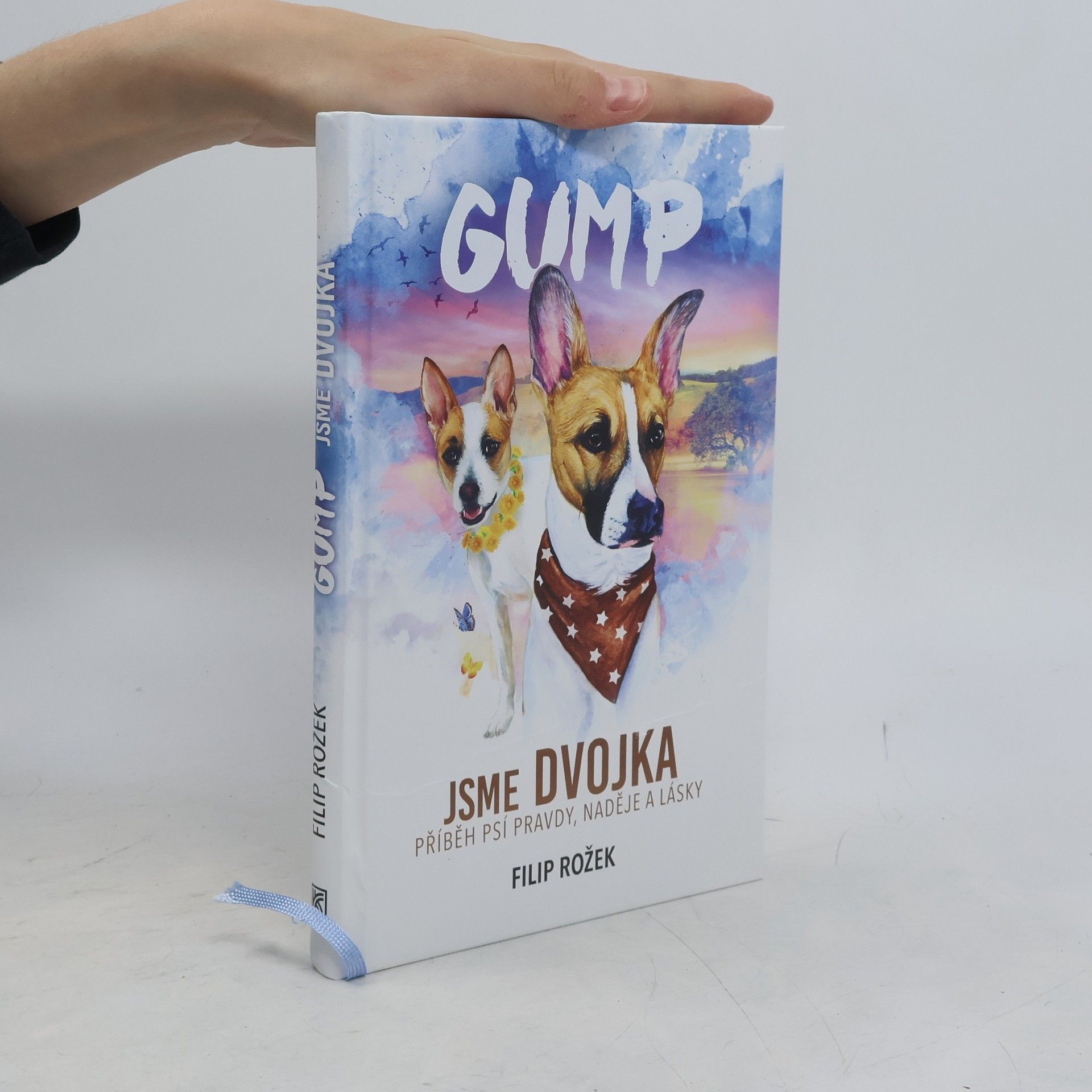 Filip Rožek Gump jsme dvojka: Příběh psí pravdy, naděje a lásky