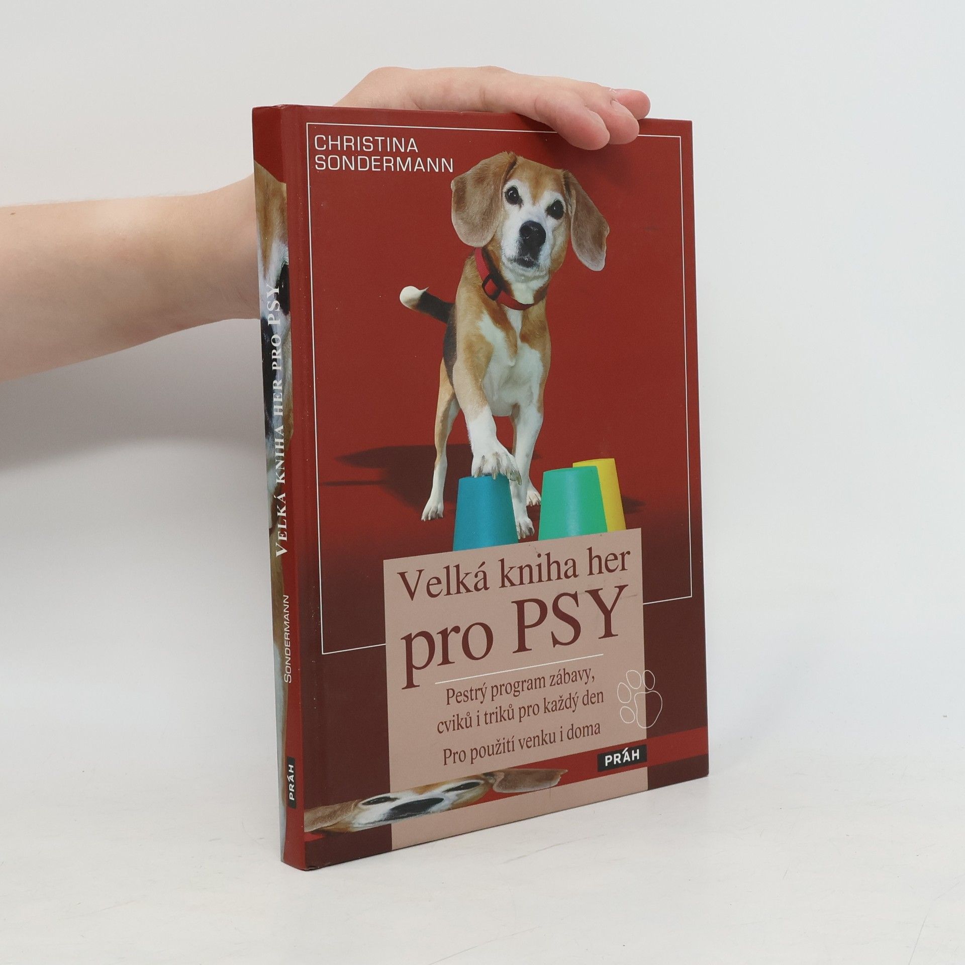 Christina Sondermann Velká kniha her pro psy: Pestrý program zábavy, cviků i triků pro každý den
