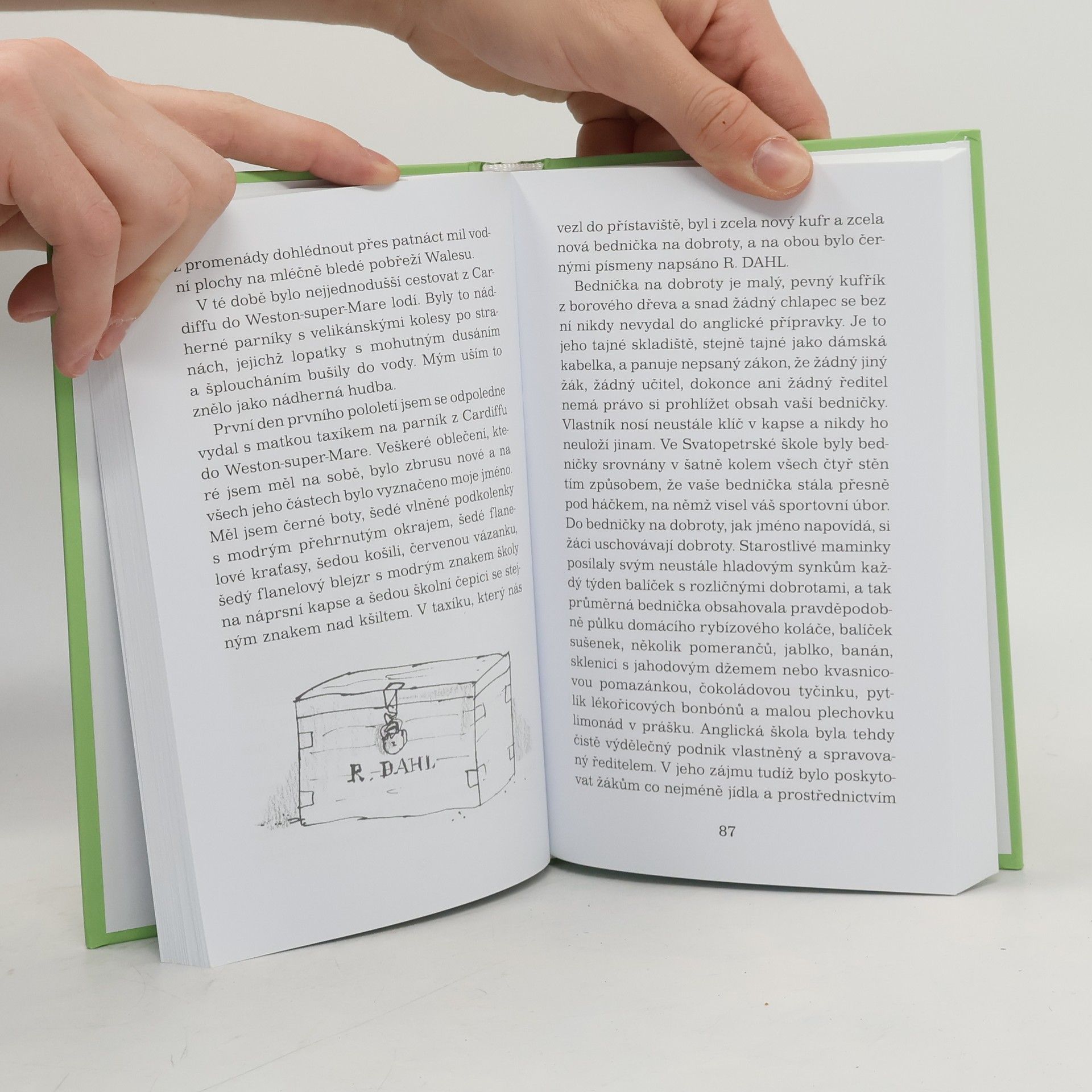 Roald Dahl Kluk: Příběhy z dětství