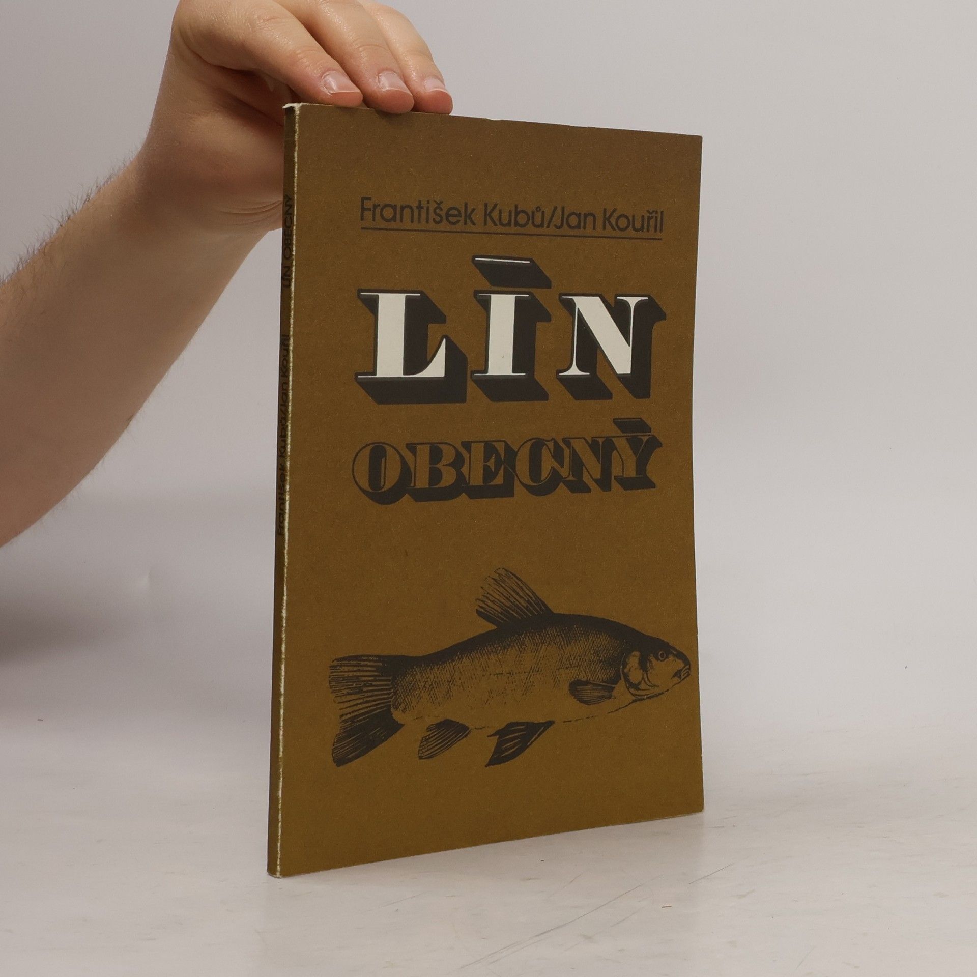 Lín obecný