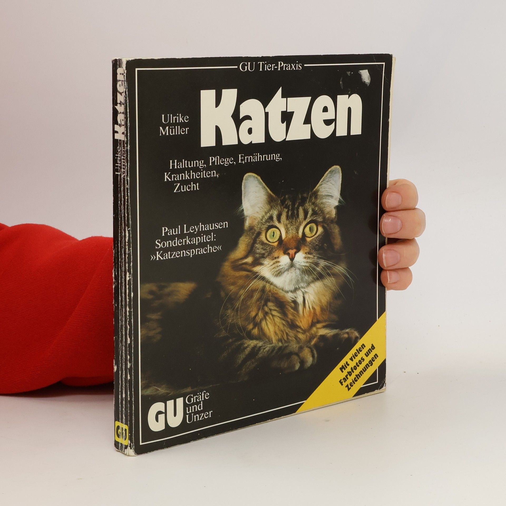 Ulrike Müller Das neue Katzenbuch