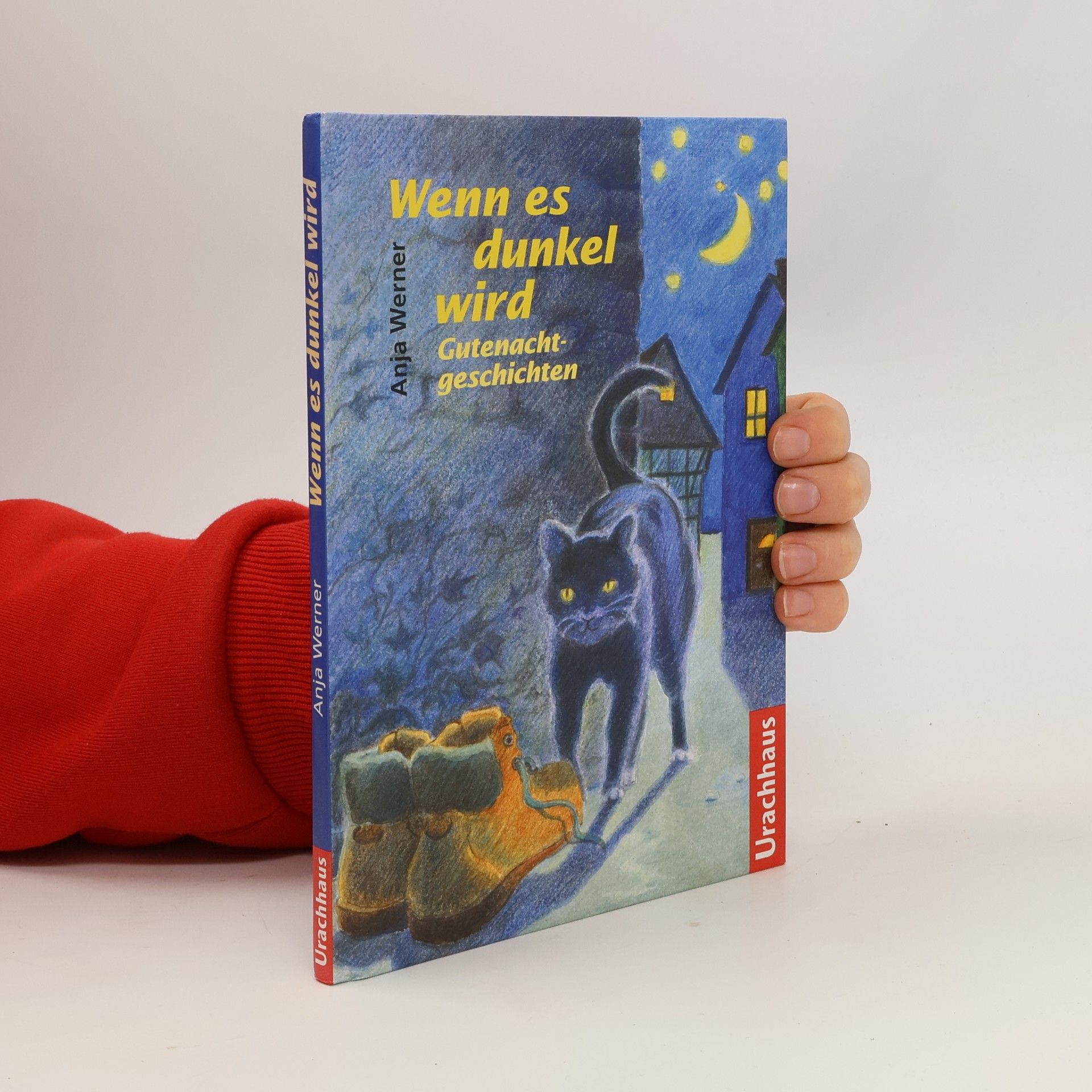 Anja Werner Wenn es dunkel wird