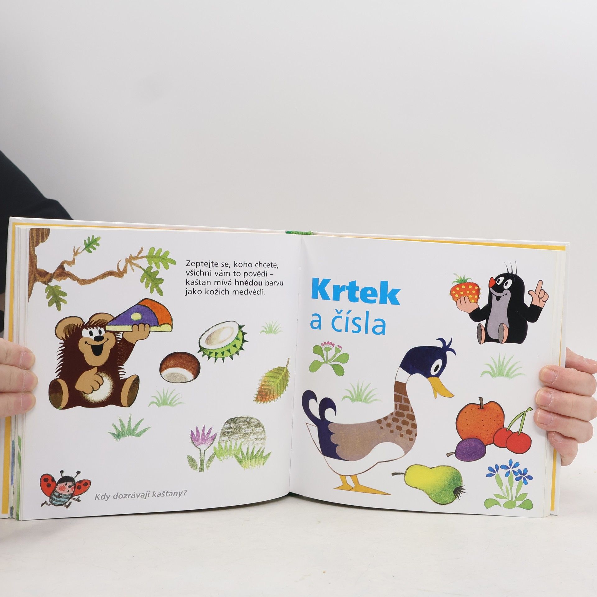 Zdeněk Miler Krtek a jeho svět