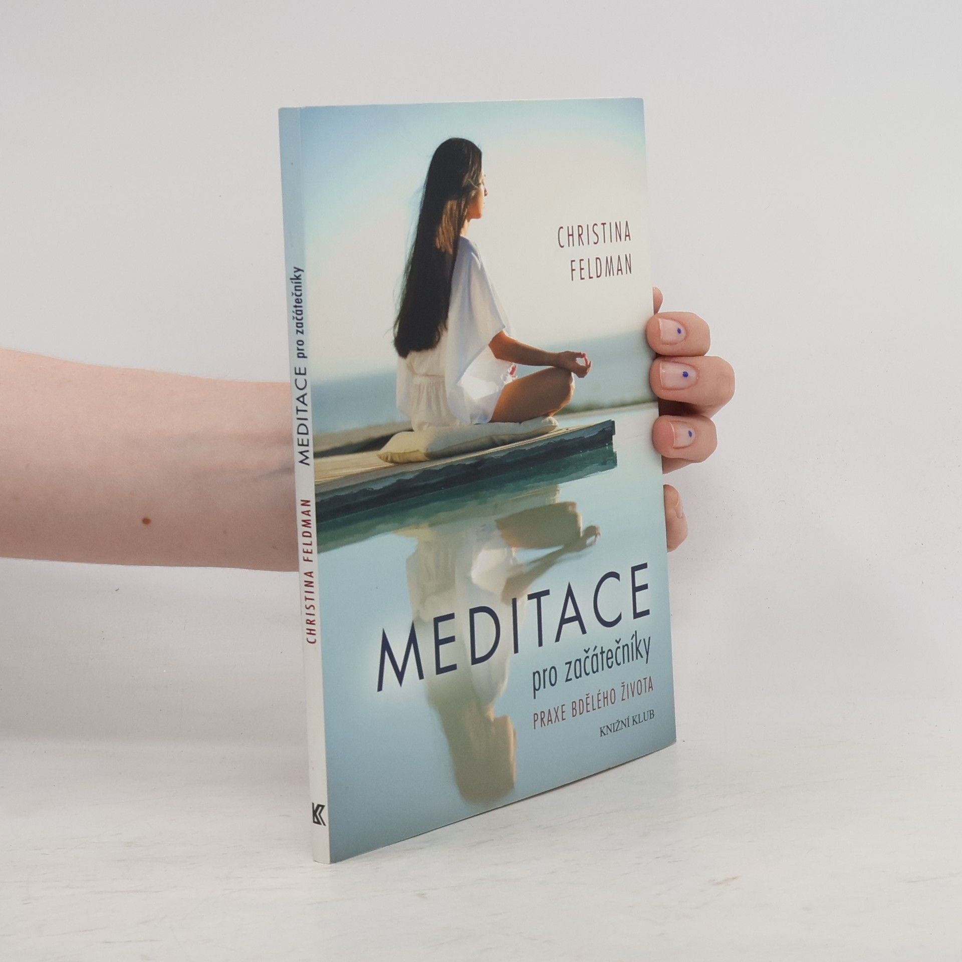 Christina Feldman Meditace pro začátečníky. Praxe bdělého života