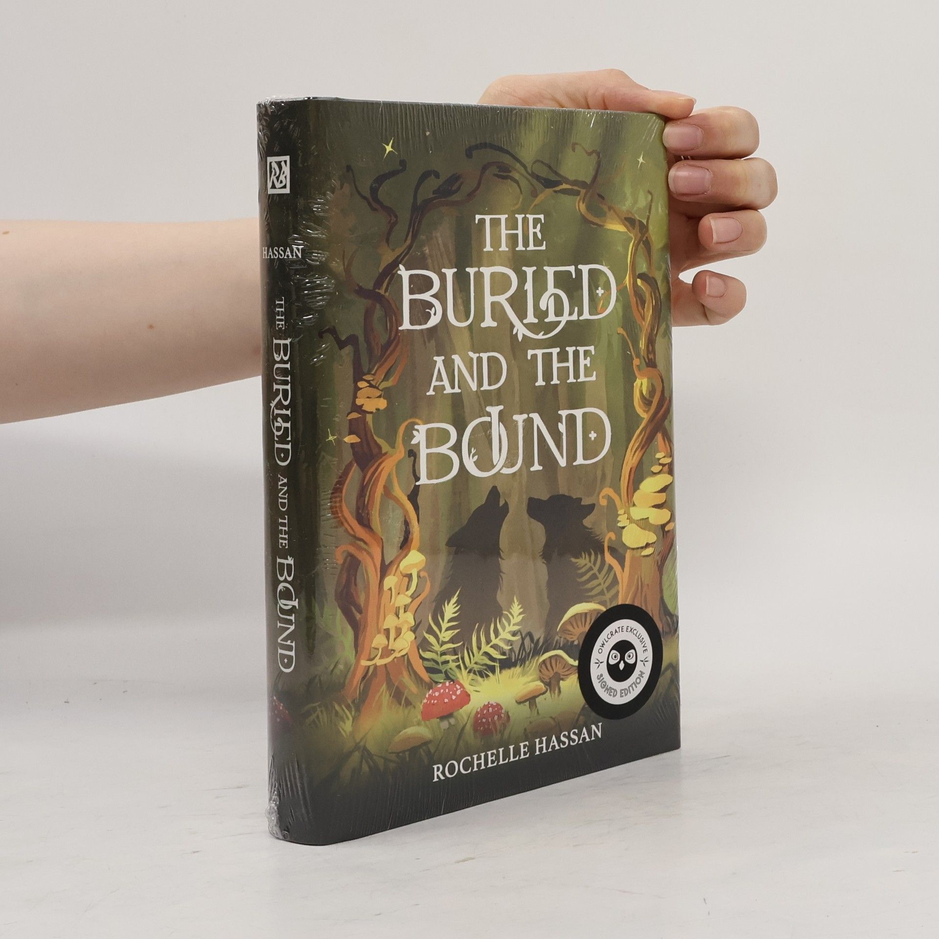 Rochelle Hassan The Buried and the Bound