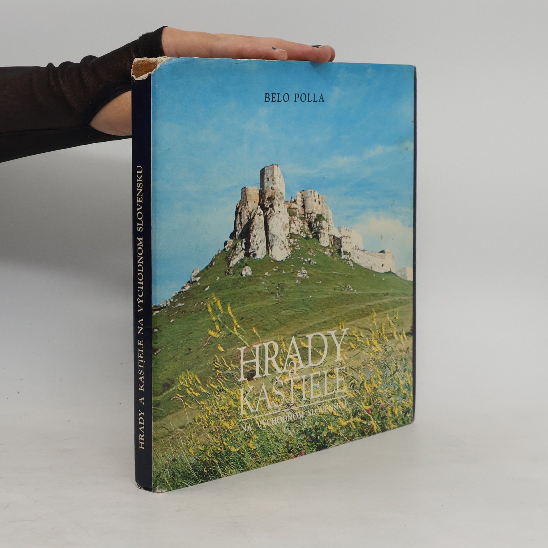 Autorenkollektiv Hrady a kaštiele na východnom Slovensku