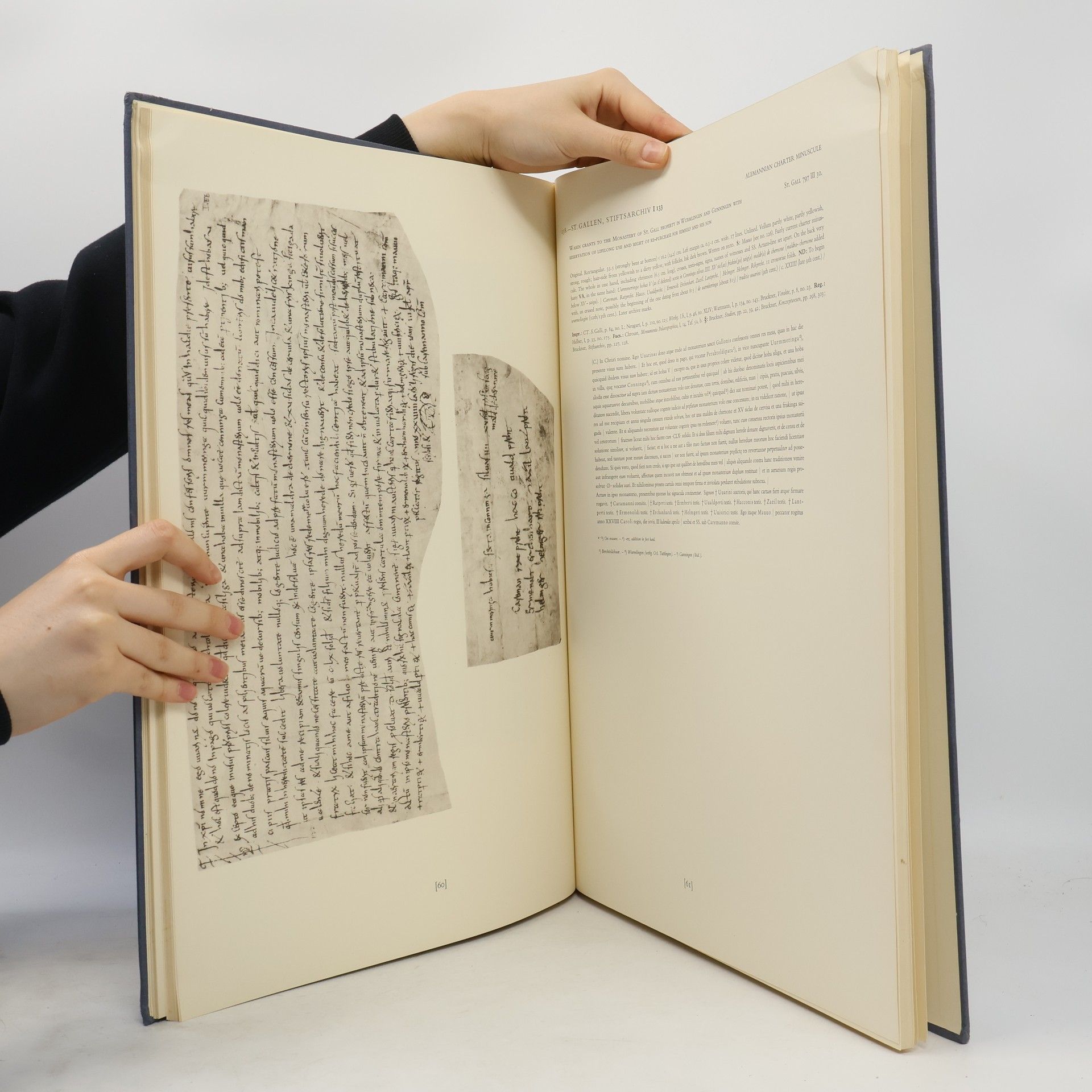 Albert Bruckner Chartae Latinae Antiquiores - Part II