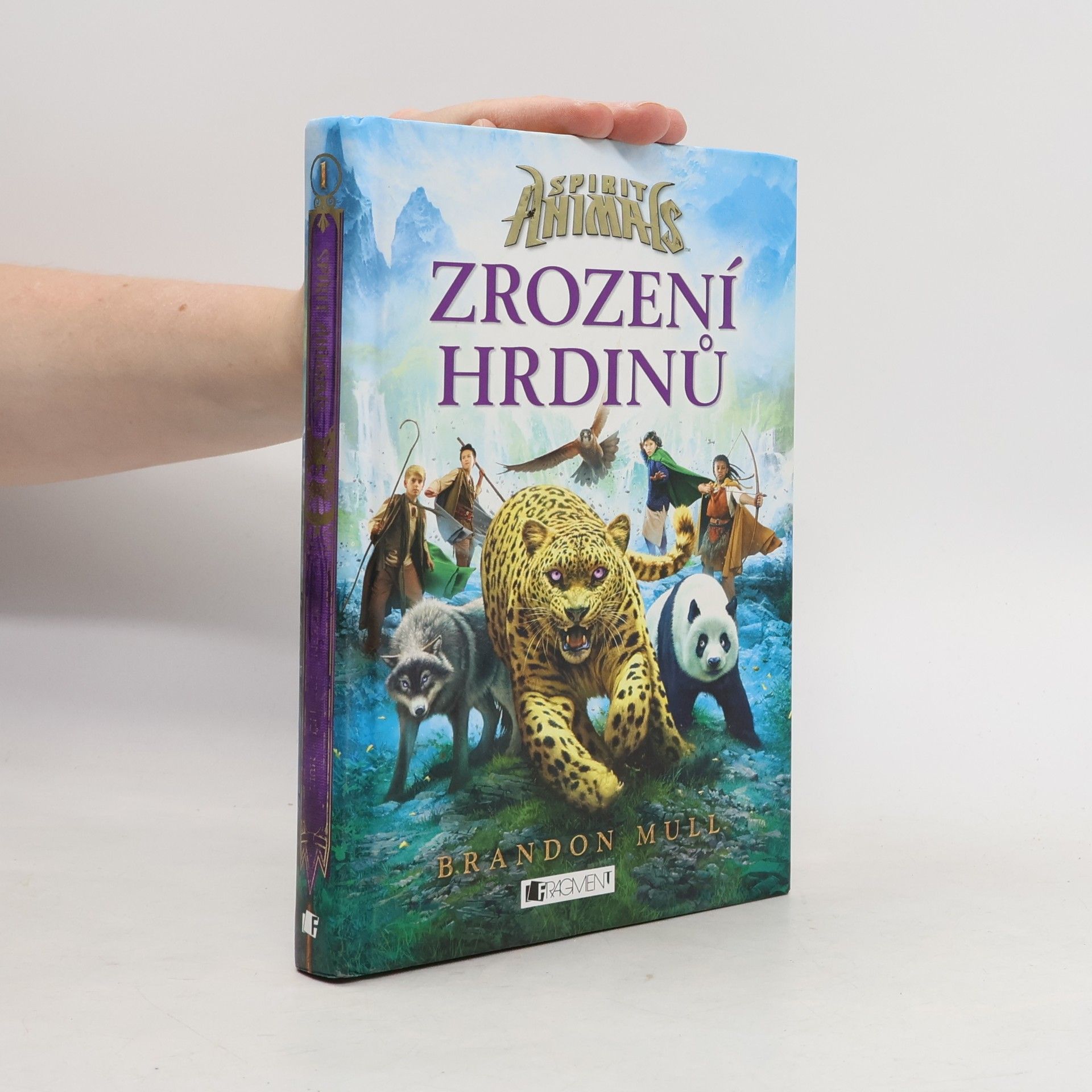 Brandon Mull Zrození hrdinů