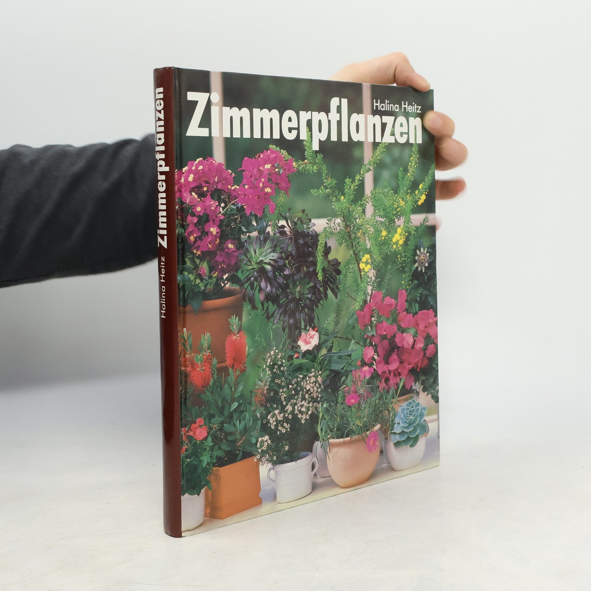 Halina Heitz Zimmerpflanzen