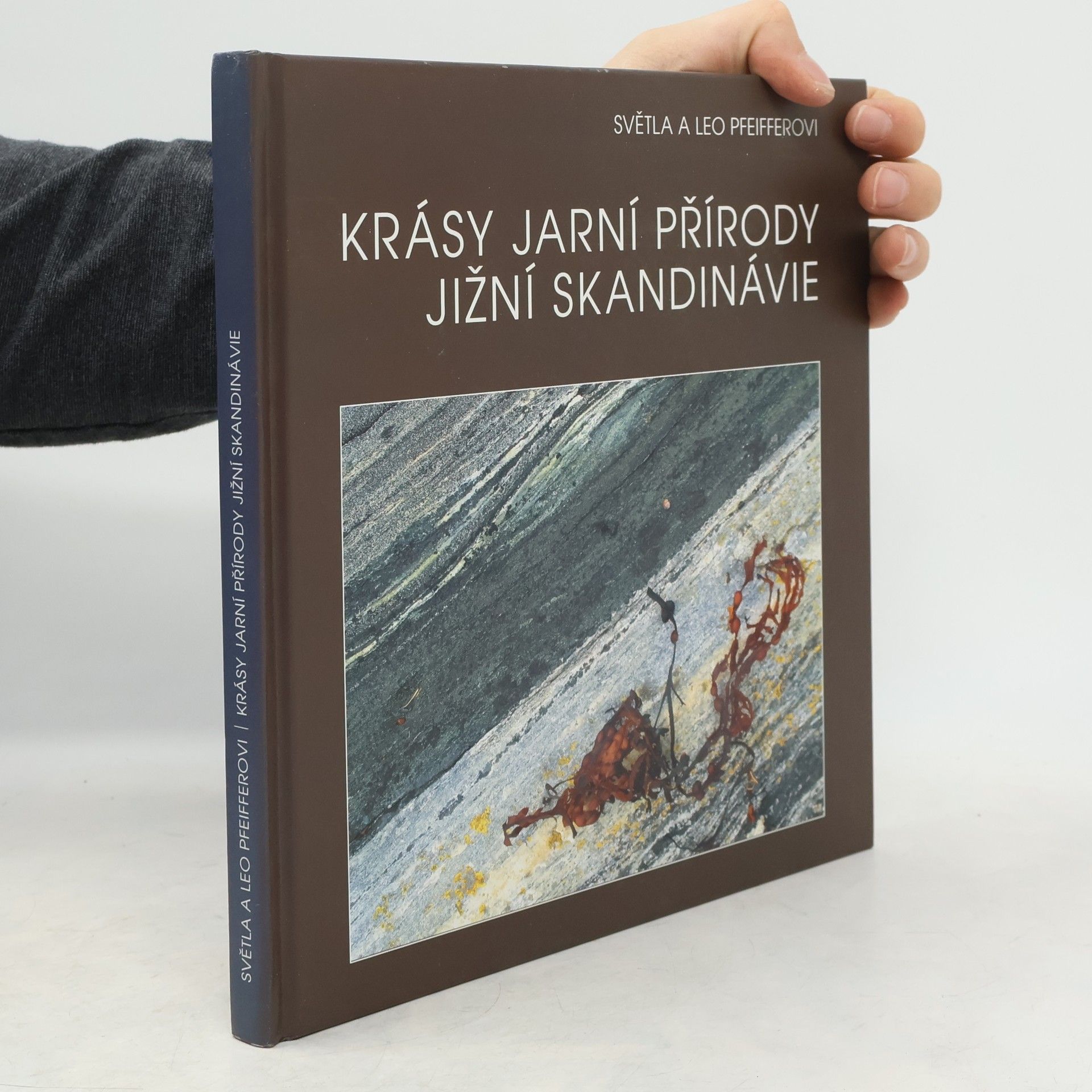 Leo Pfeiffer Krásy jarní přírody jižní Skandinávie