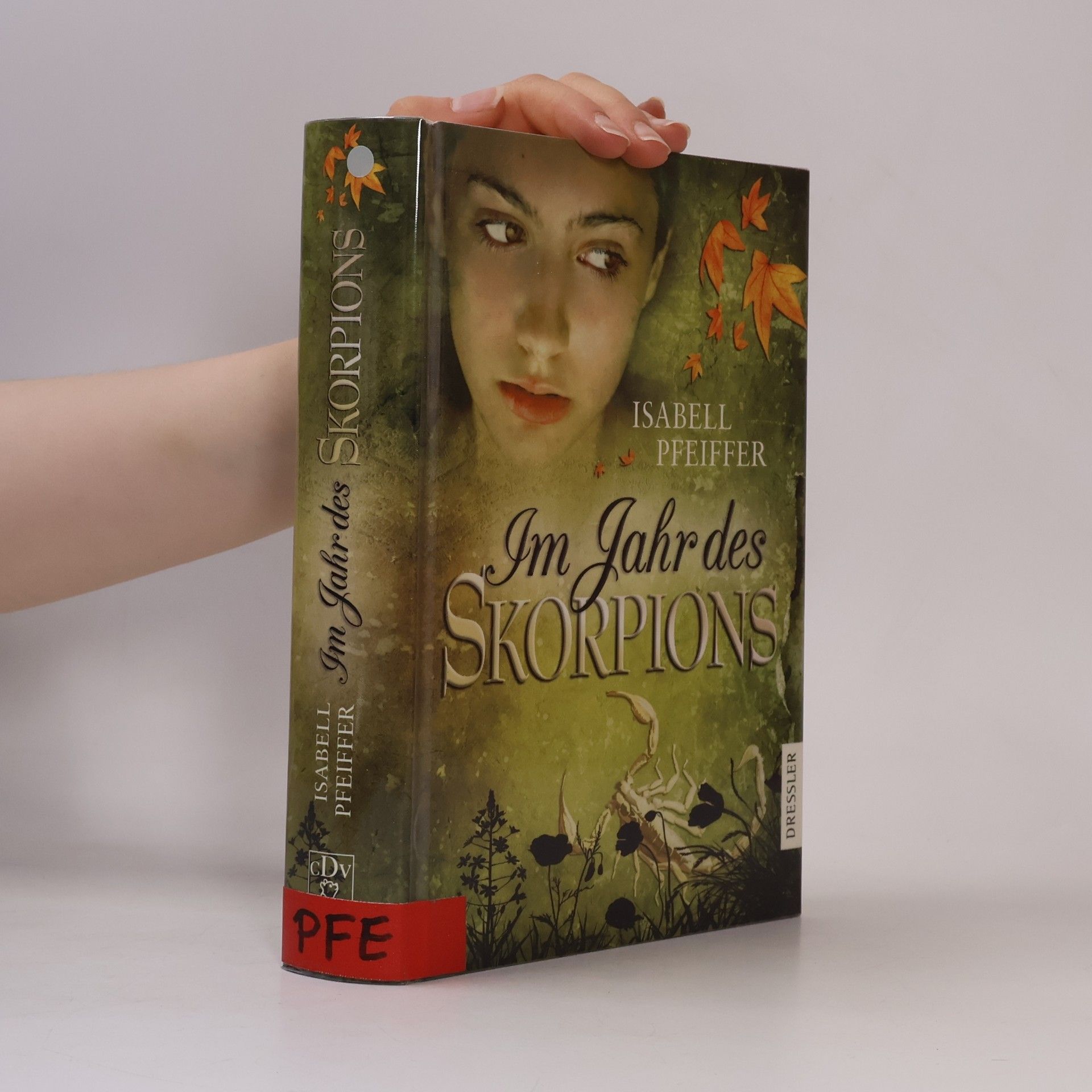 Isabell Pfeiffer Im Jahr des Skorpions