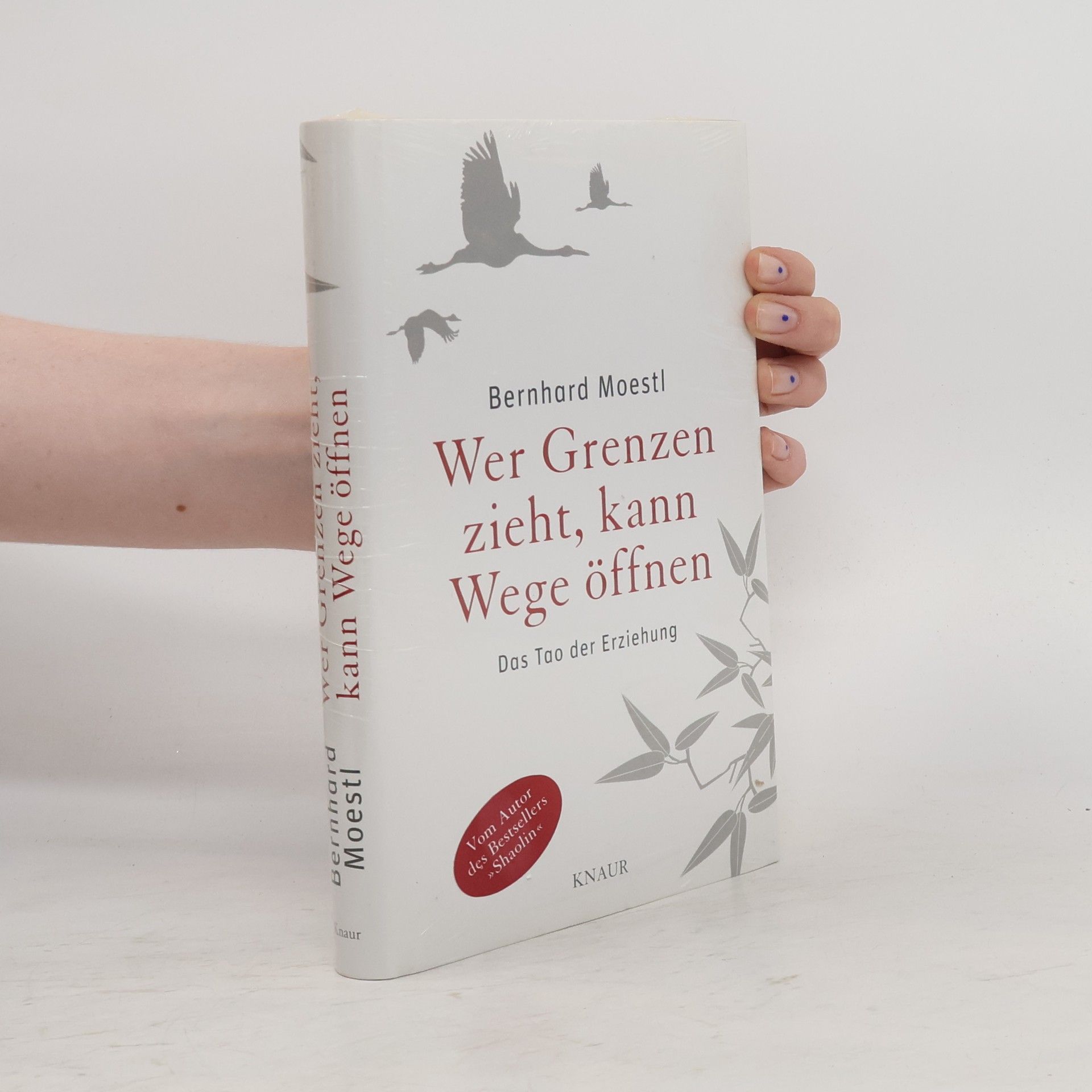 Bernhard Moestl Wer Grenzen zieht, kann Wege öffnen