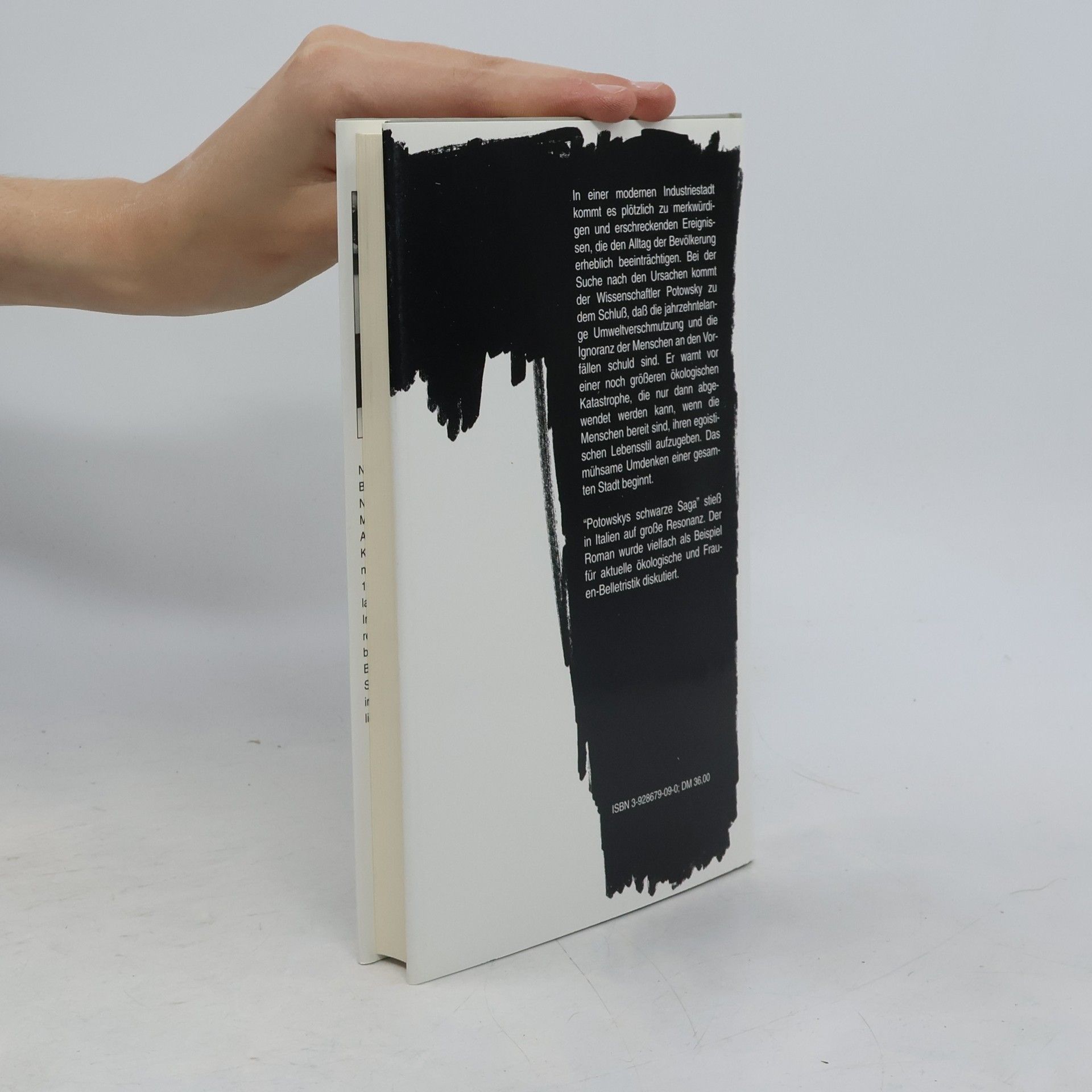 Nicoletta Sipos Potowskys schwarze Saga