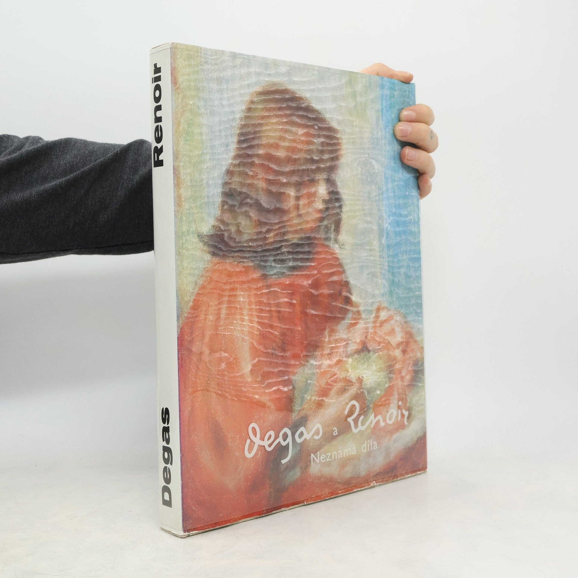 Denis Rouart Degas a Renoir. Neznámá díla