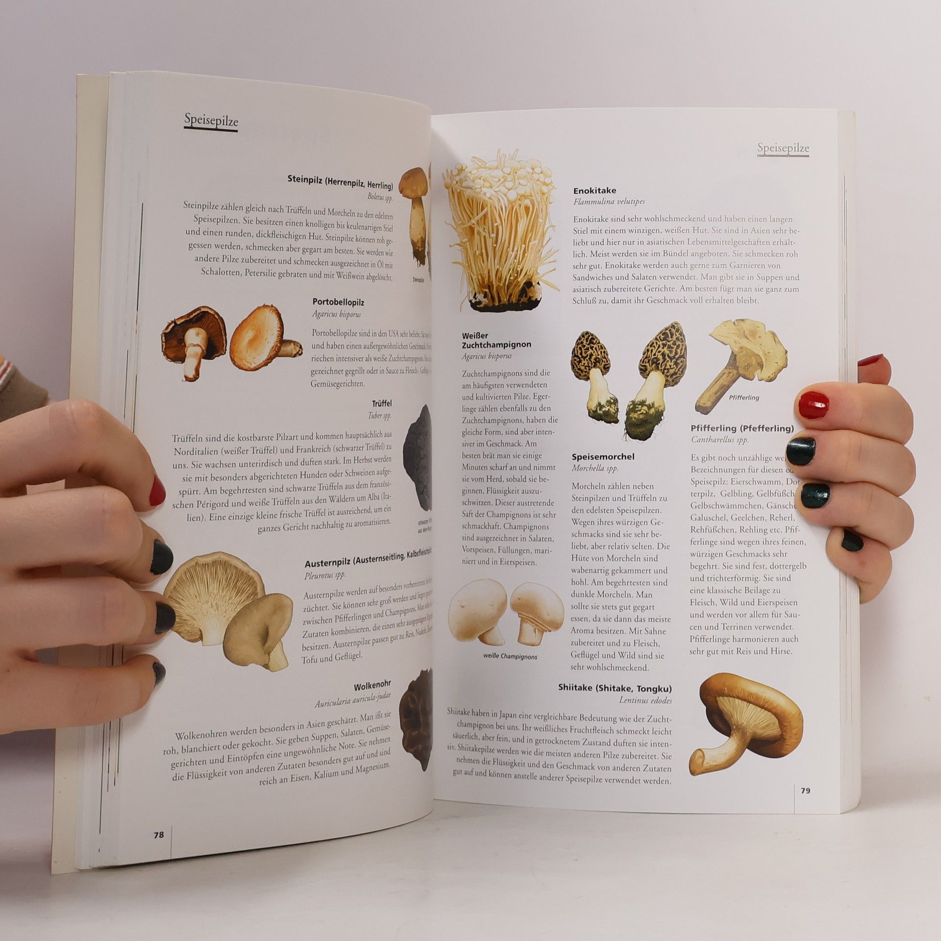 Autores varios Food Guide - Internationaler Lebensmittelkompass