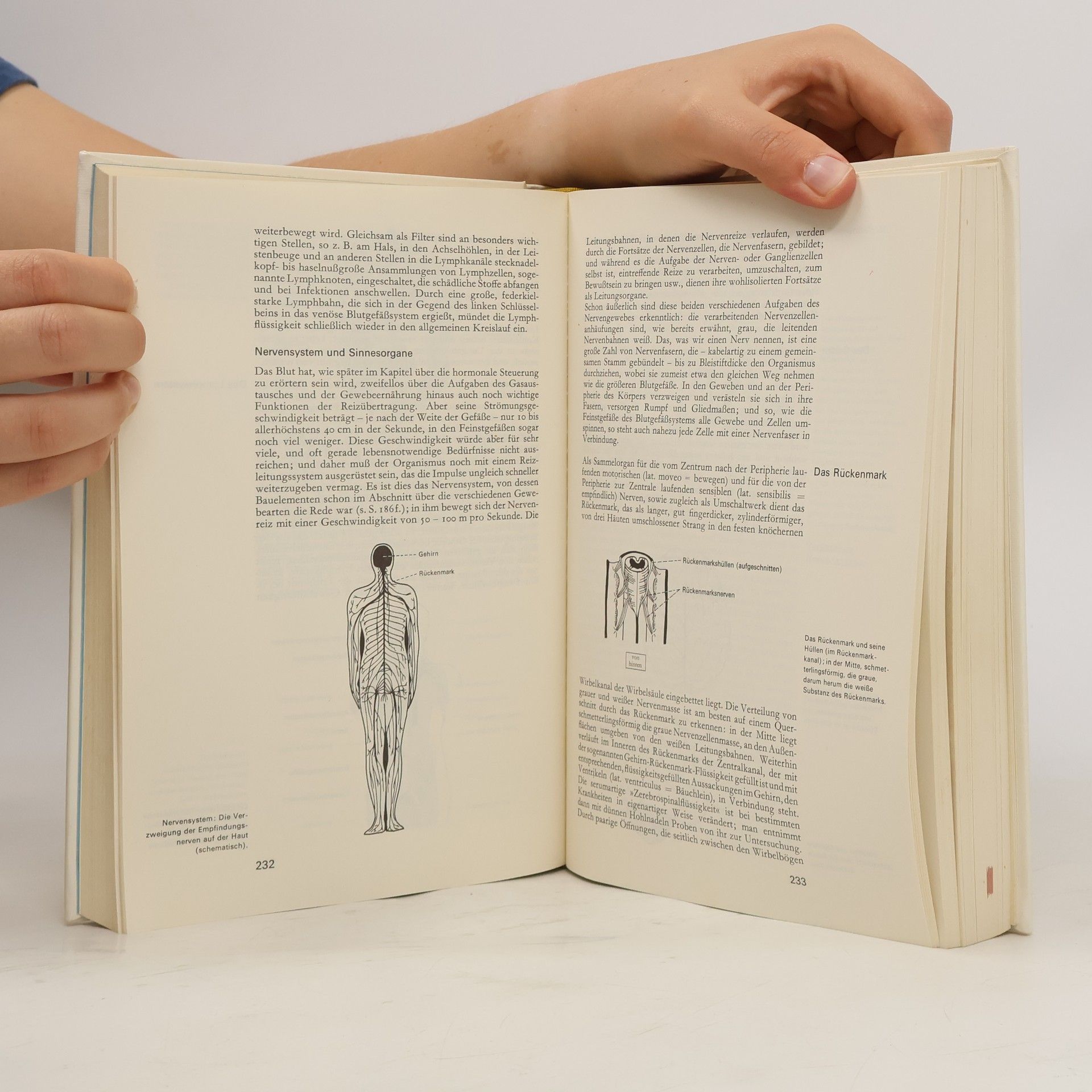 Gerhard Venzmer Das neue große Gesundheitsbuch