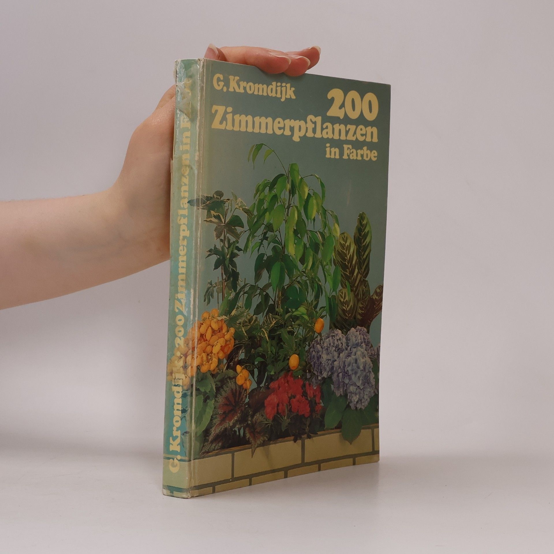 G. Kromdijk 200 Zimmerpflanzen in Farbe