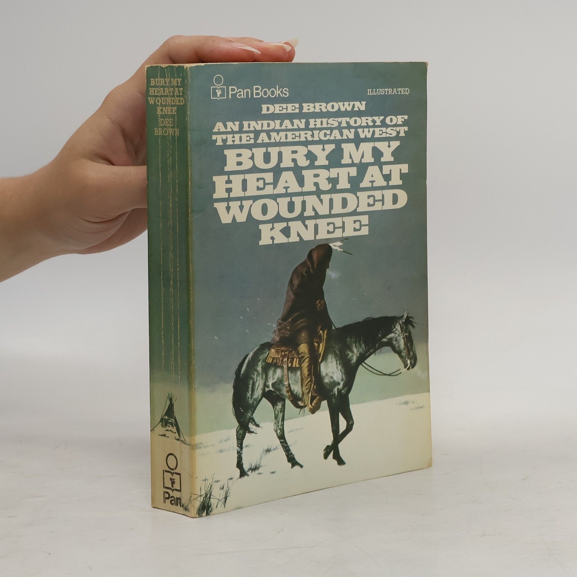 Bury My Heart at Wounded Knee