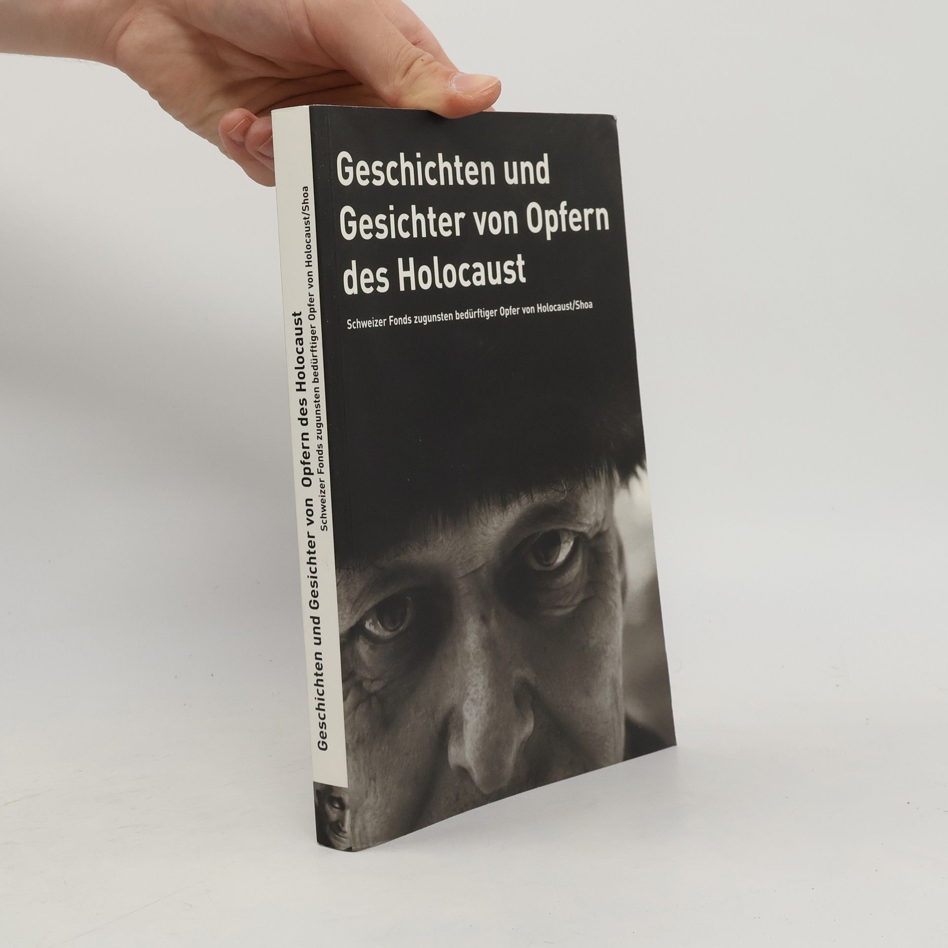 Kolektiv autorů Geschichten und Geschichter von Opfern des Holocaust