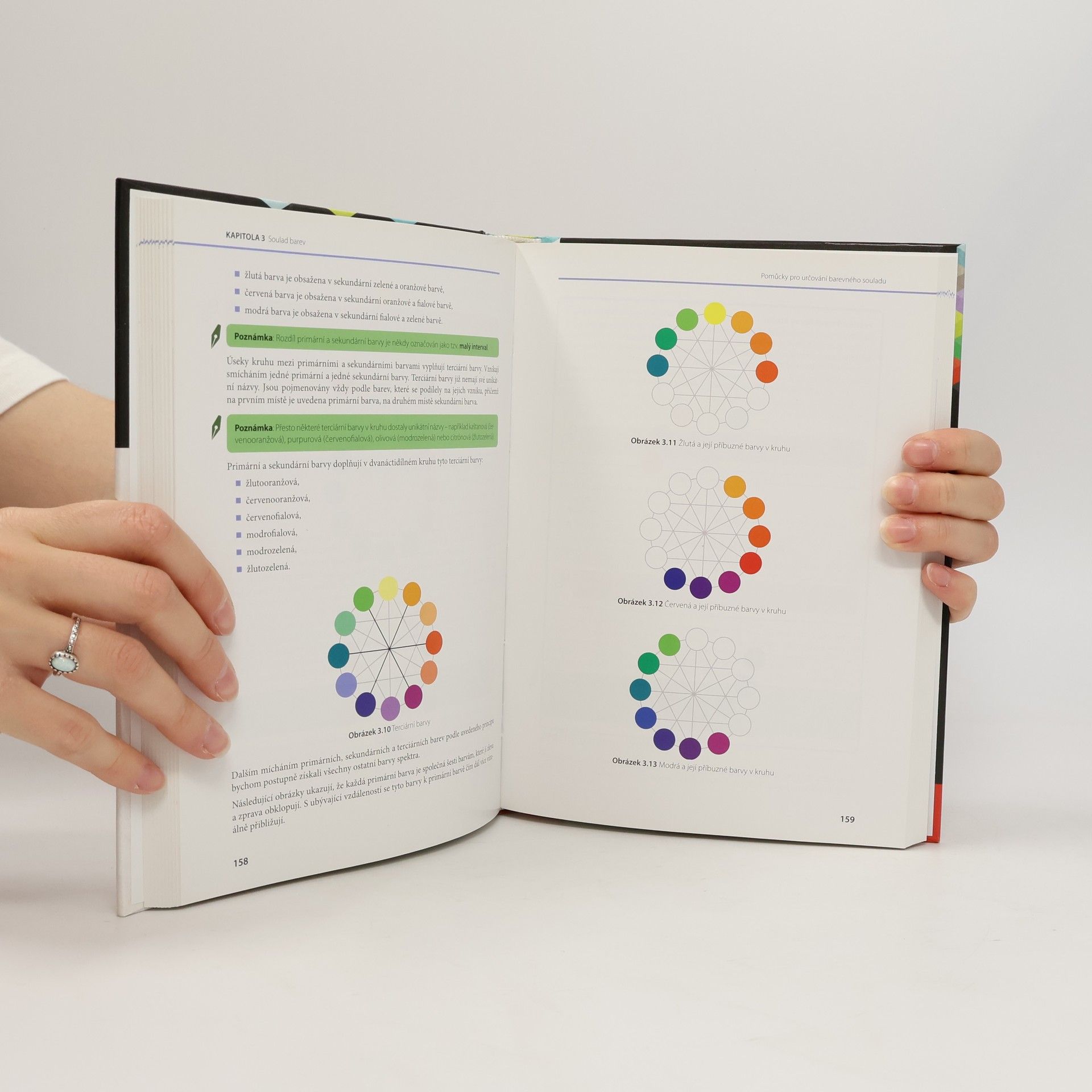 Jana Dannhoferová Velká kniha barev: Kompletní průvodce pro grafiky, fotografy a designéry