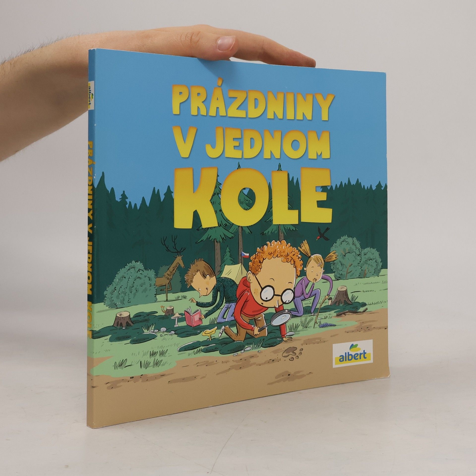 Kolektiv autorů Prázdniny v jednom kole