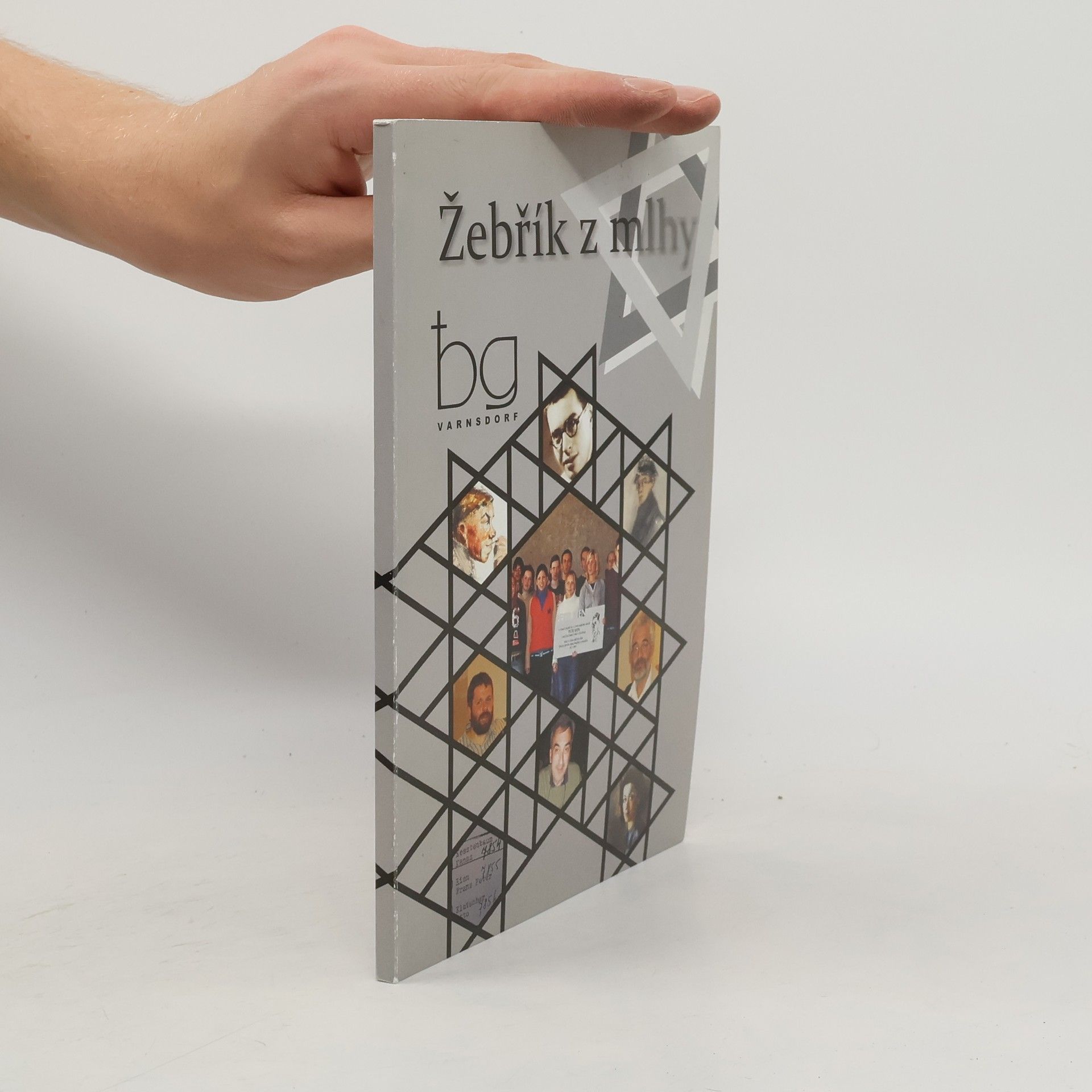 Kolektiv autorů Žebřík z mlhy