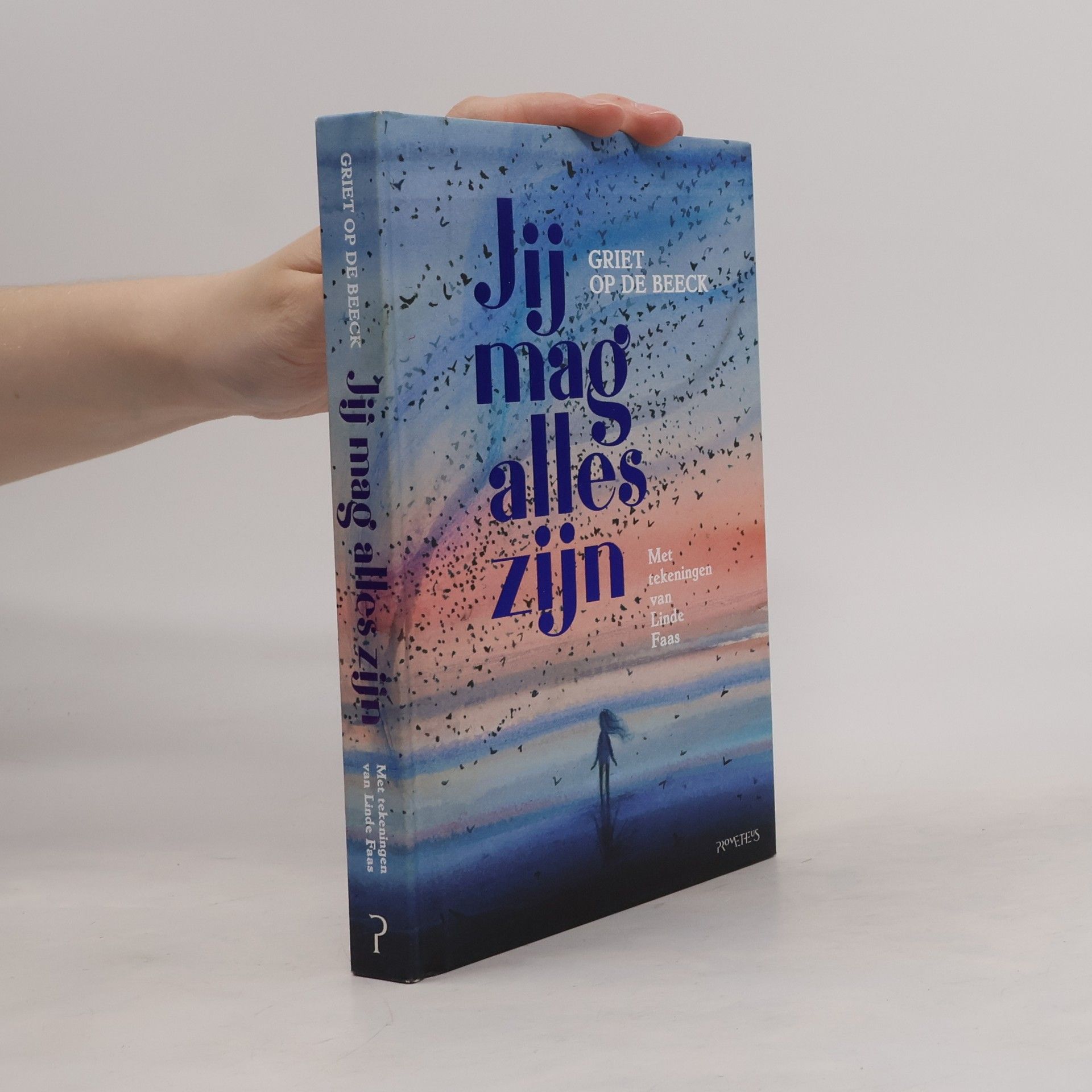 Linde Faas Jij mag alles zijn
