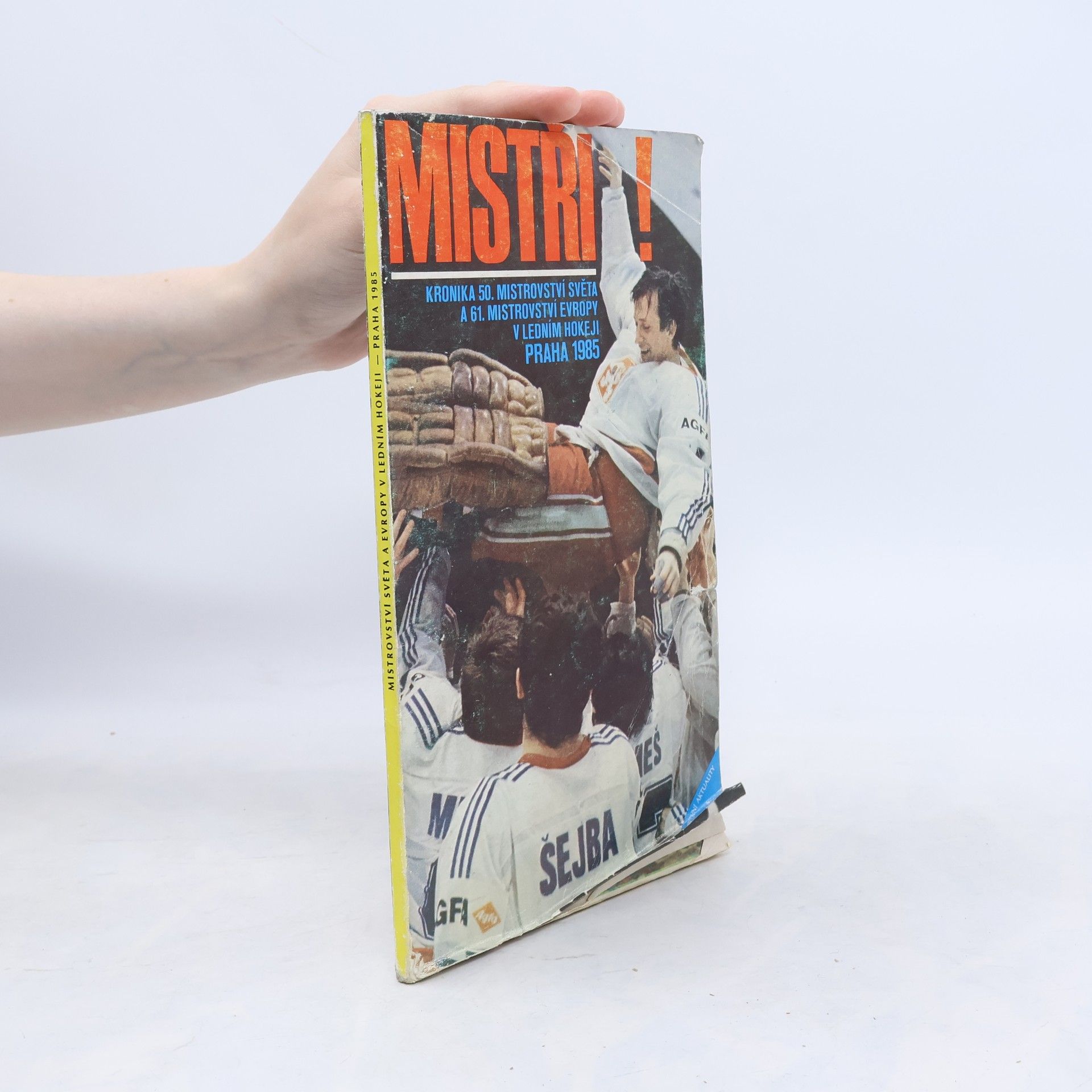 Mistři! Kronika 50. mistroství a 61. mistroství Evropy v ledním hokeji