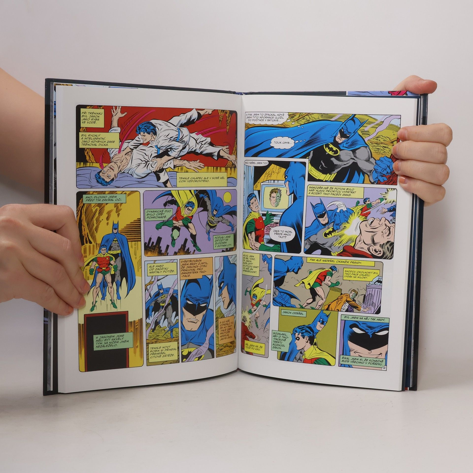 Autorenkollektiv Batman. Smrt v rodině