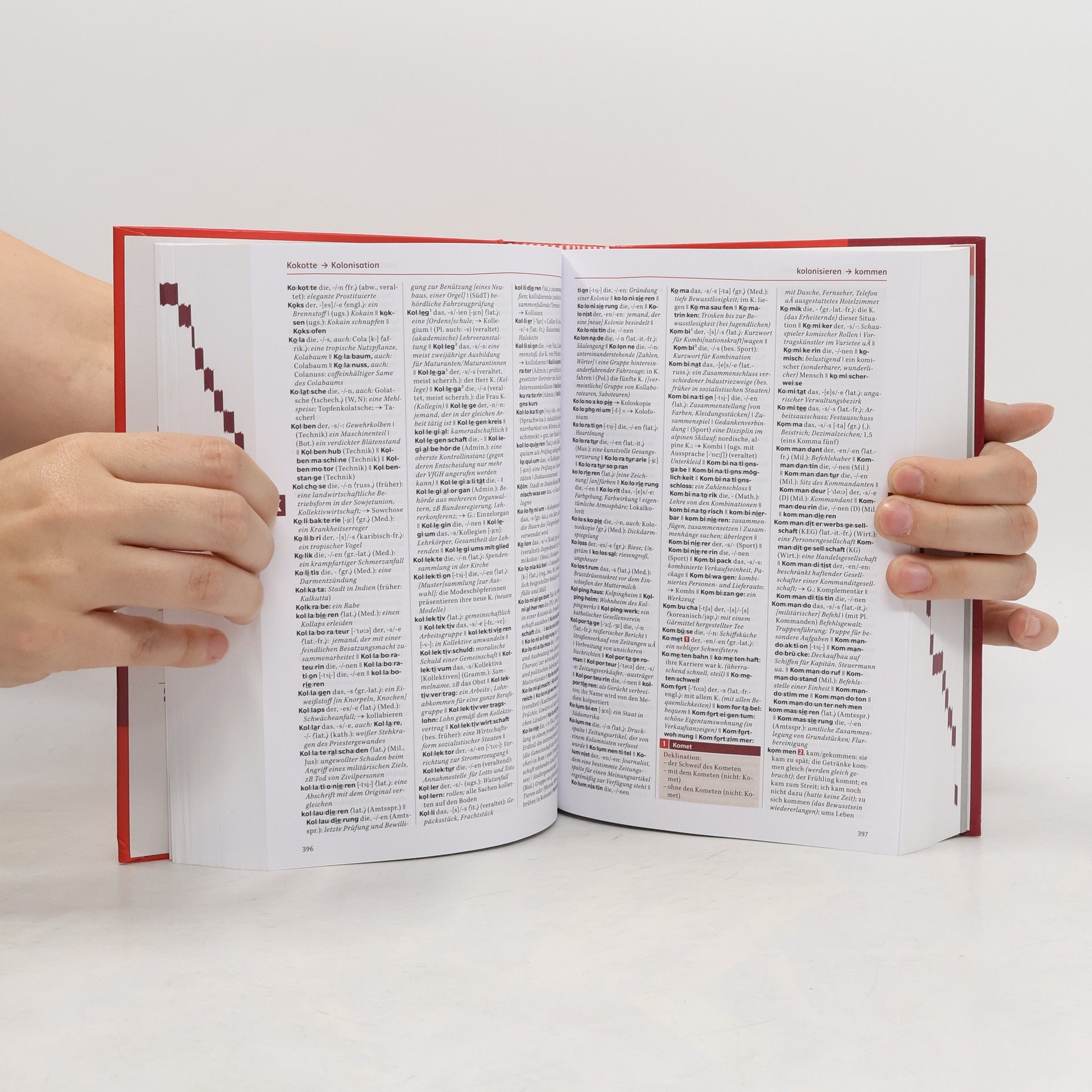 Ulrike Steiner Österreichisches Wörterbuch
