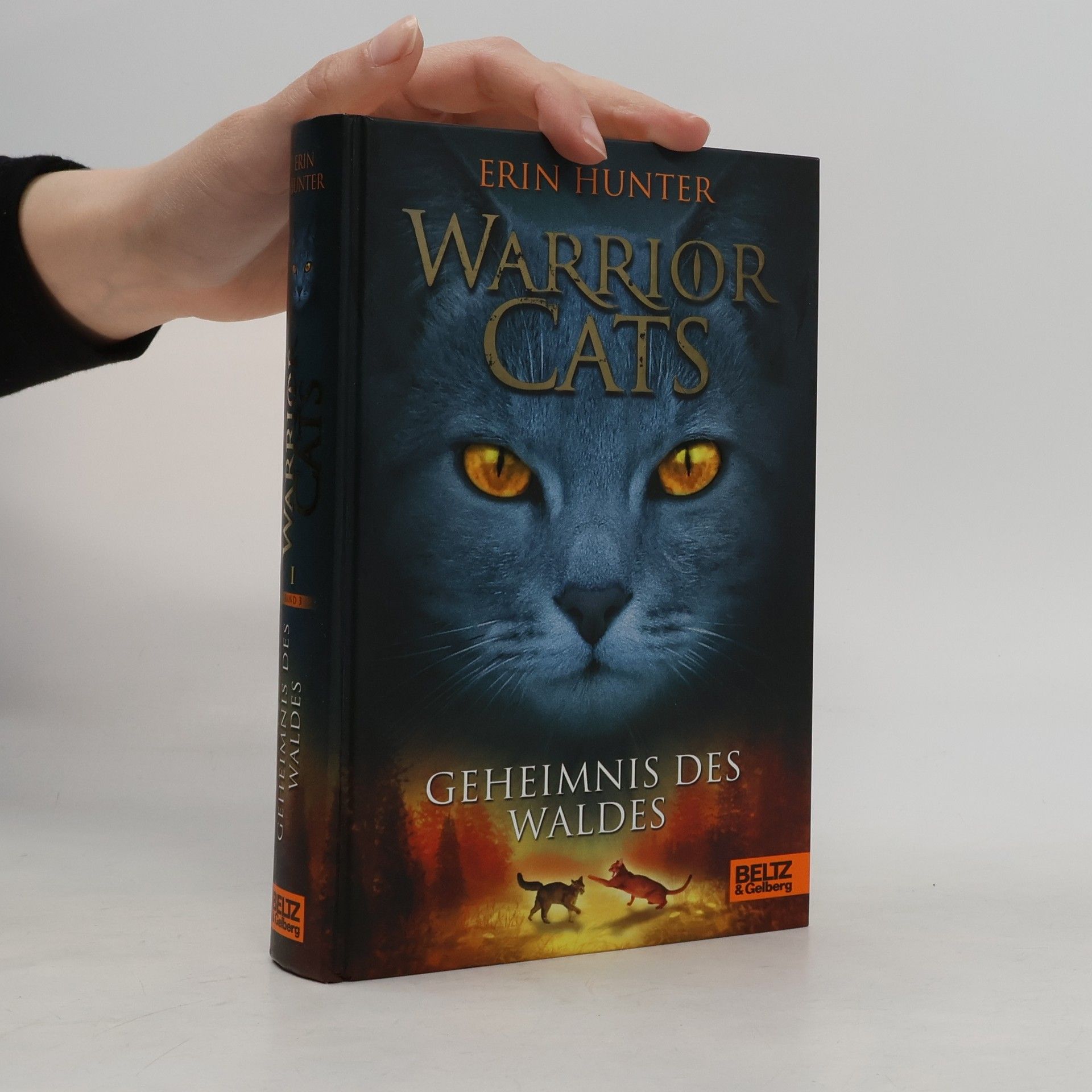 Erin Hunter Warrior Cats. Geheimnis des Waldes.