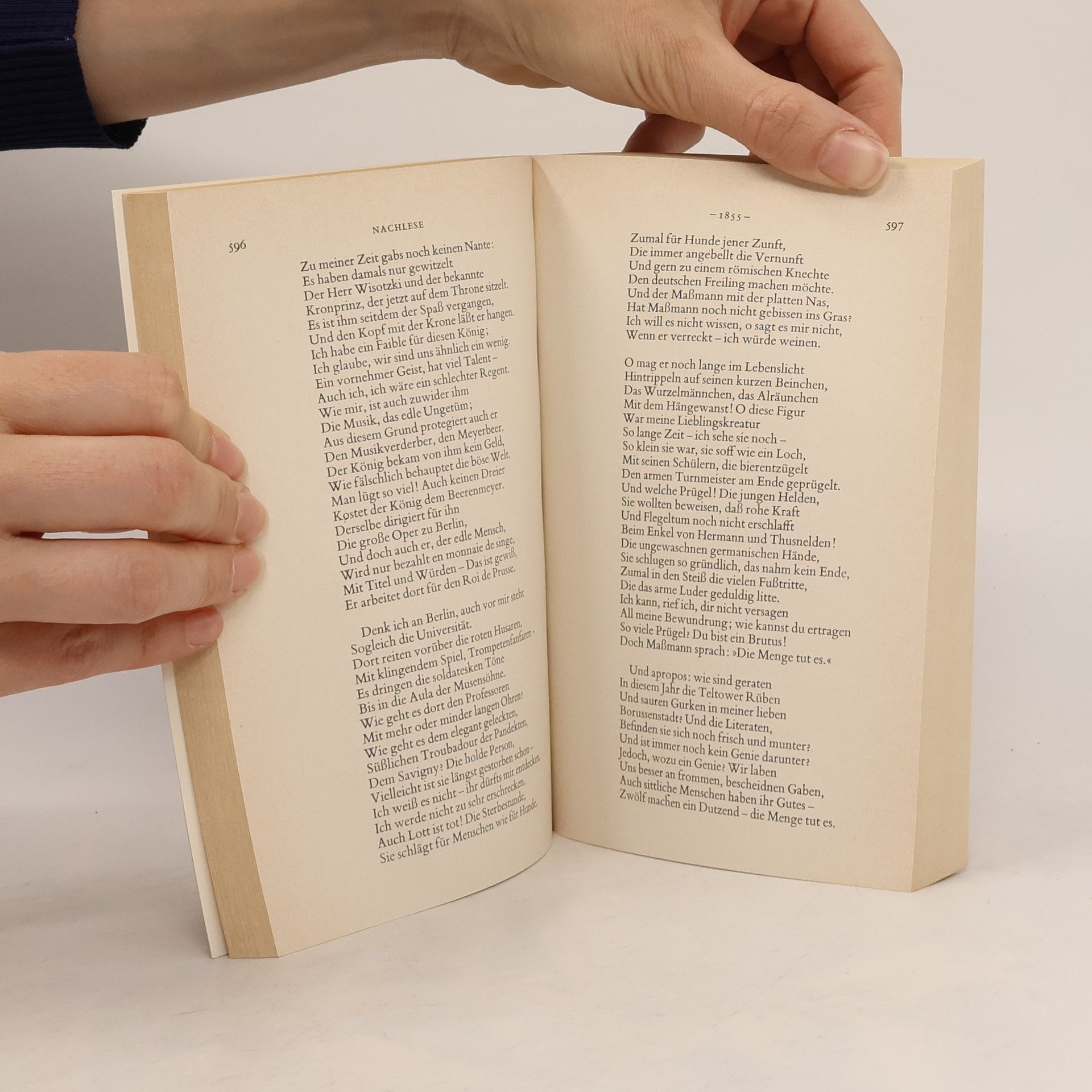 Heinrich Heine Werkausgabe im Taschenbuch 1.- 4. díl