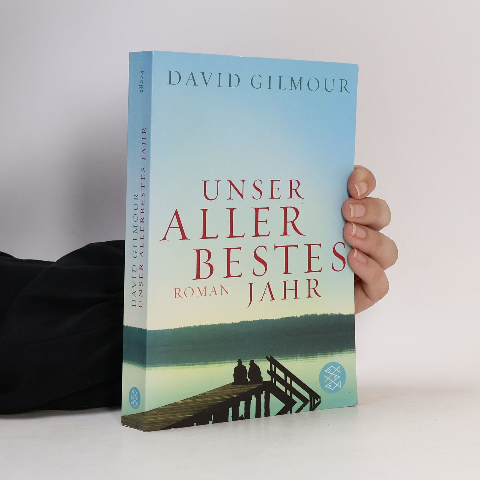 David Gilmour Unser allerbestes Jahr