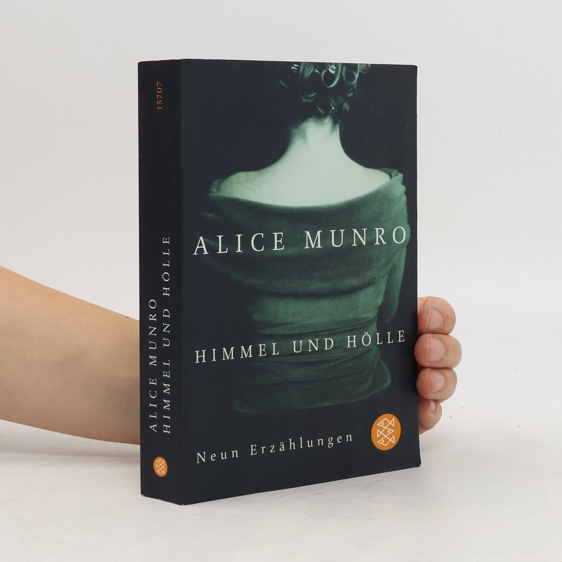 Alice Munro Himmel und Hölle