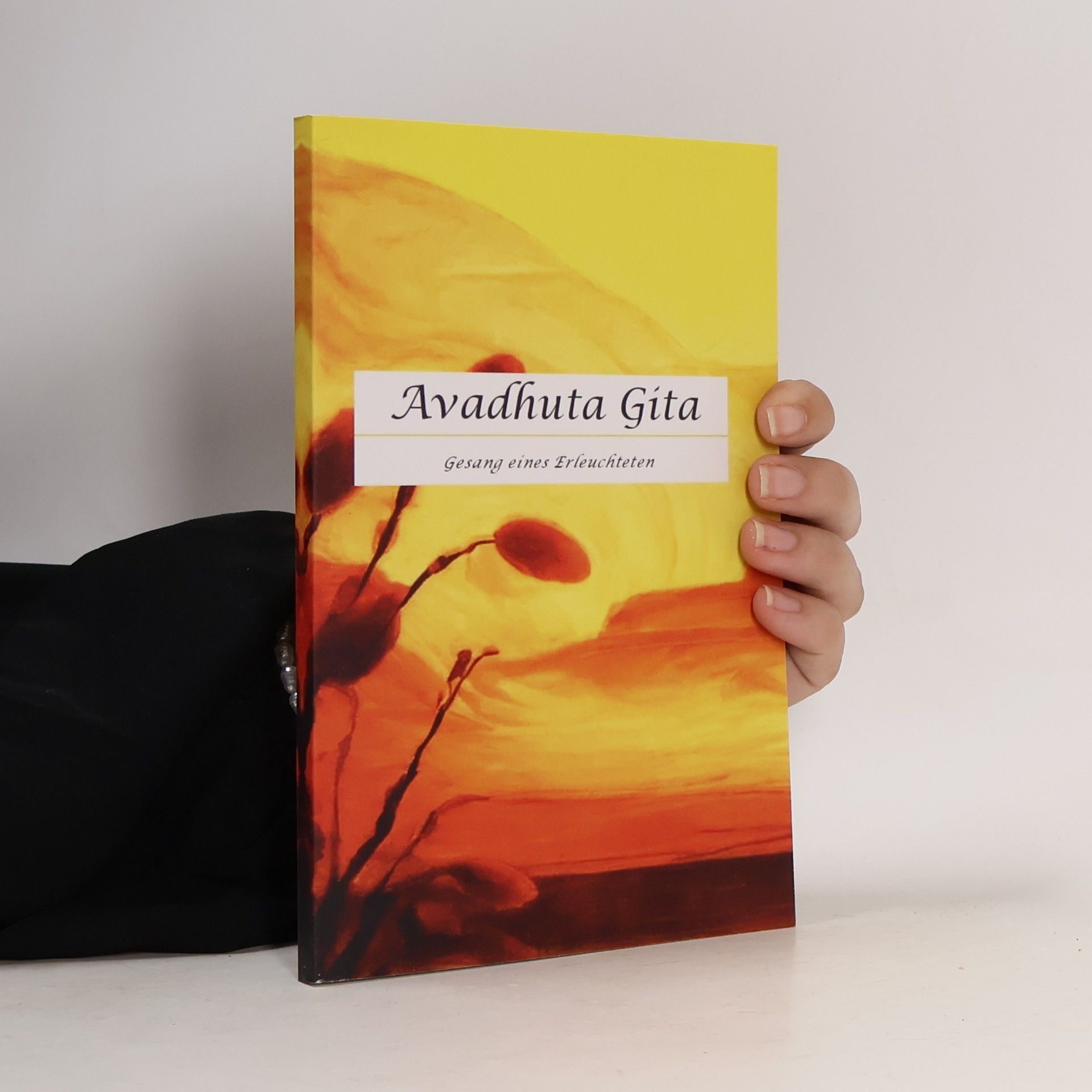 Avadhuta Gita. Gesang eines Erleuchteten