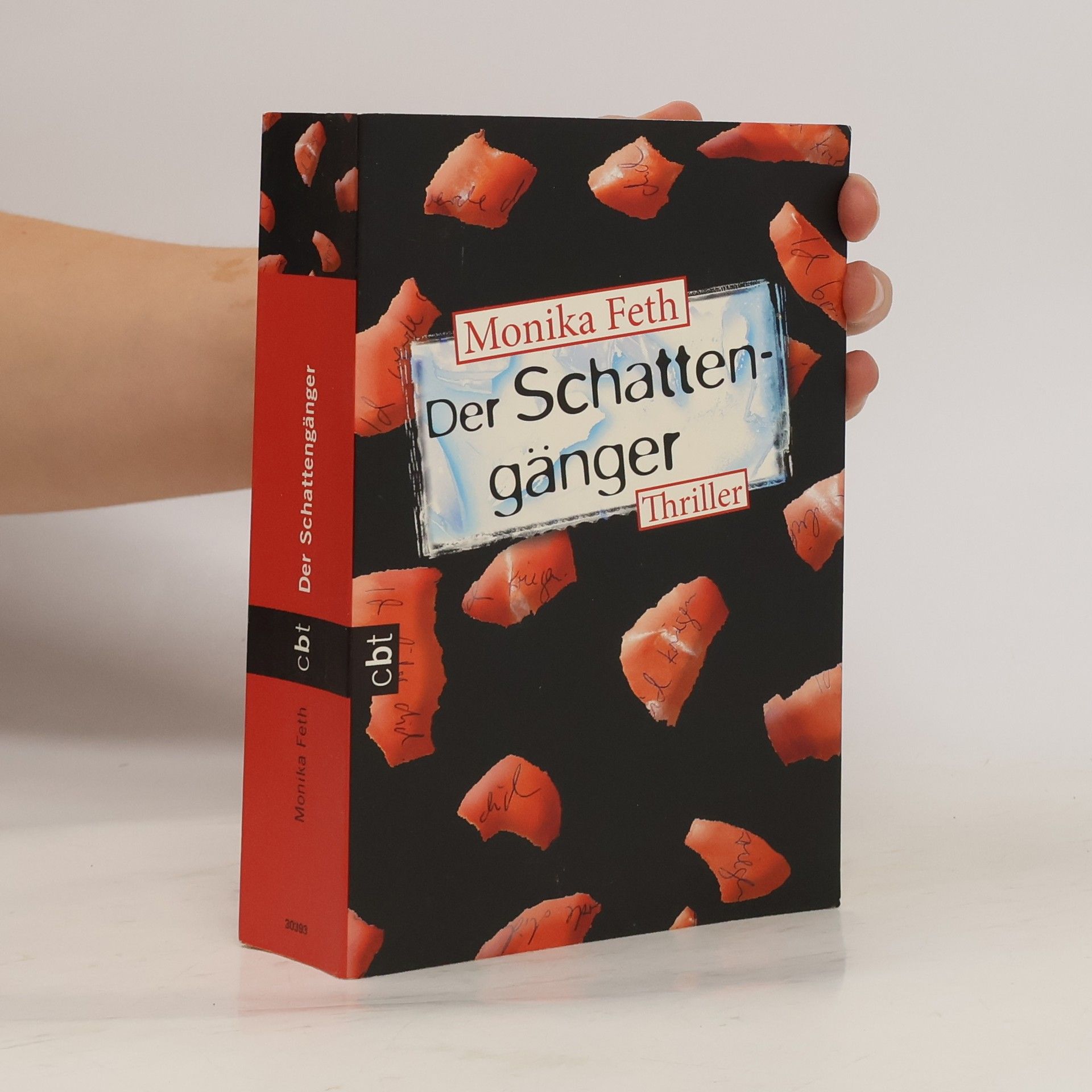 Monika Feth Der Schattengänger