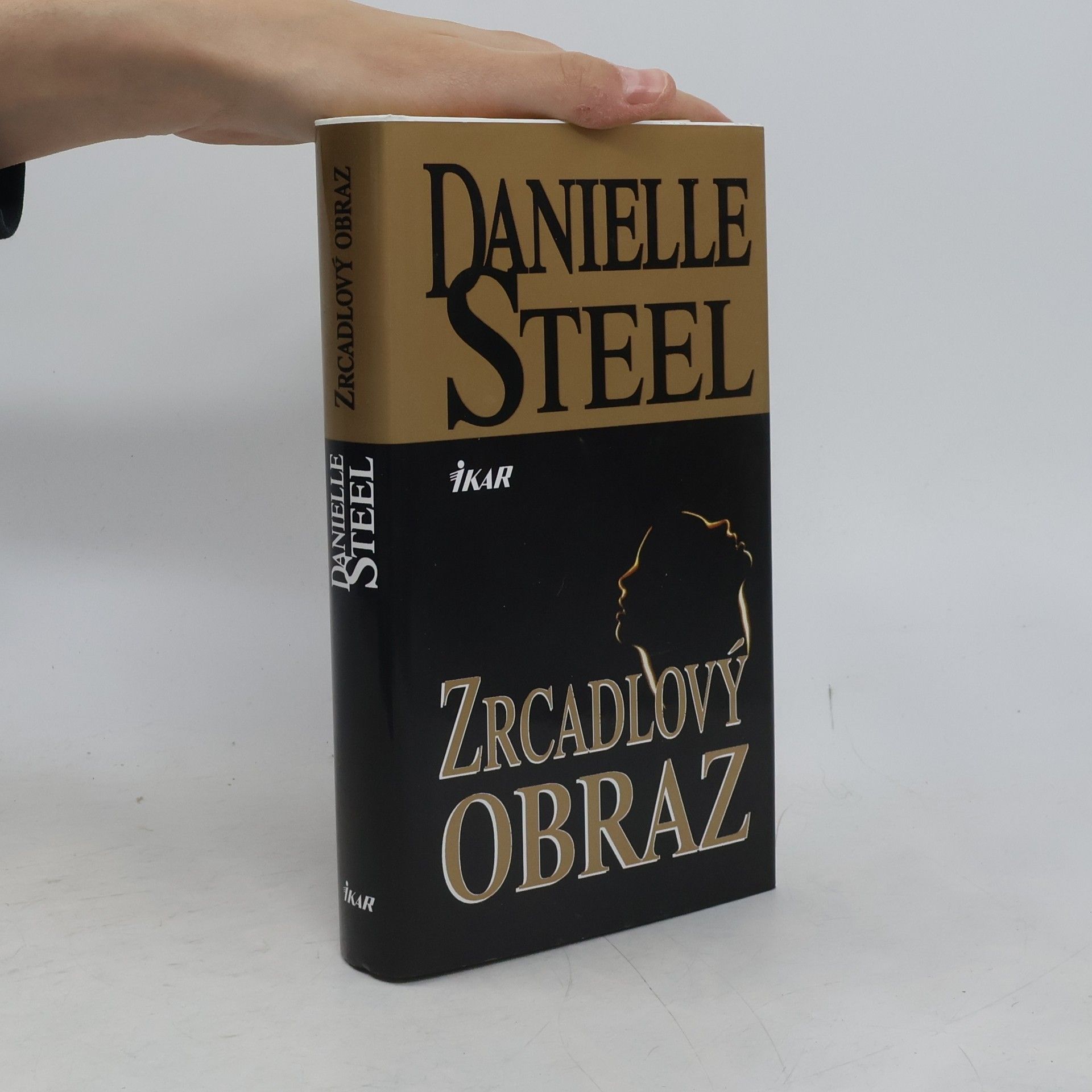 Danielle Steel Zrcadlový obraz