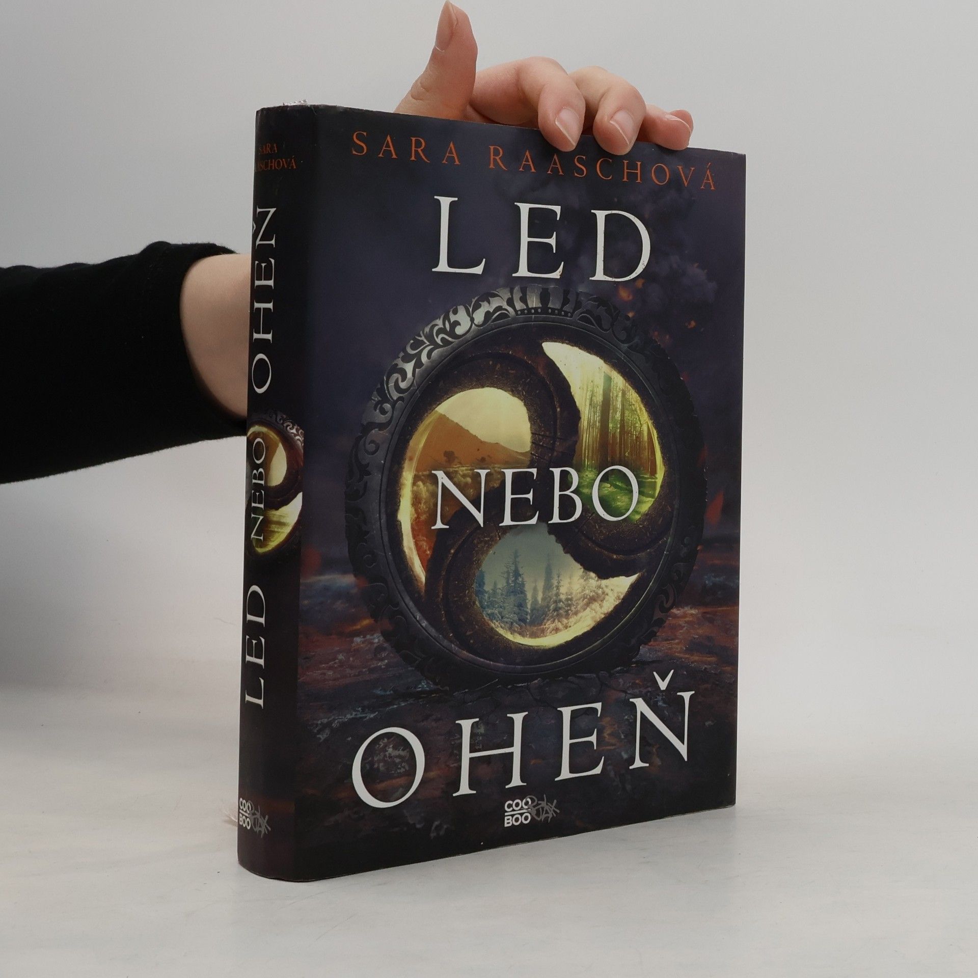 Sara Raasch Led nebo oheň