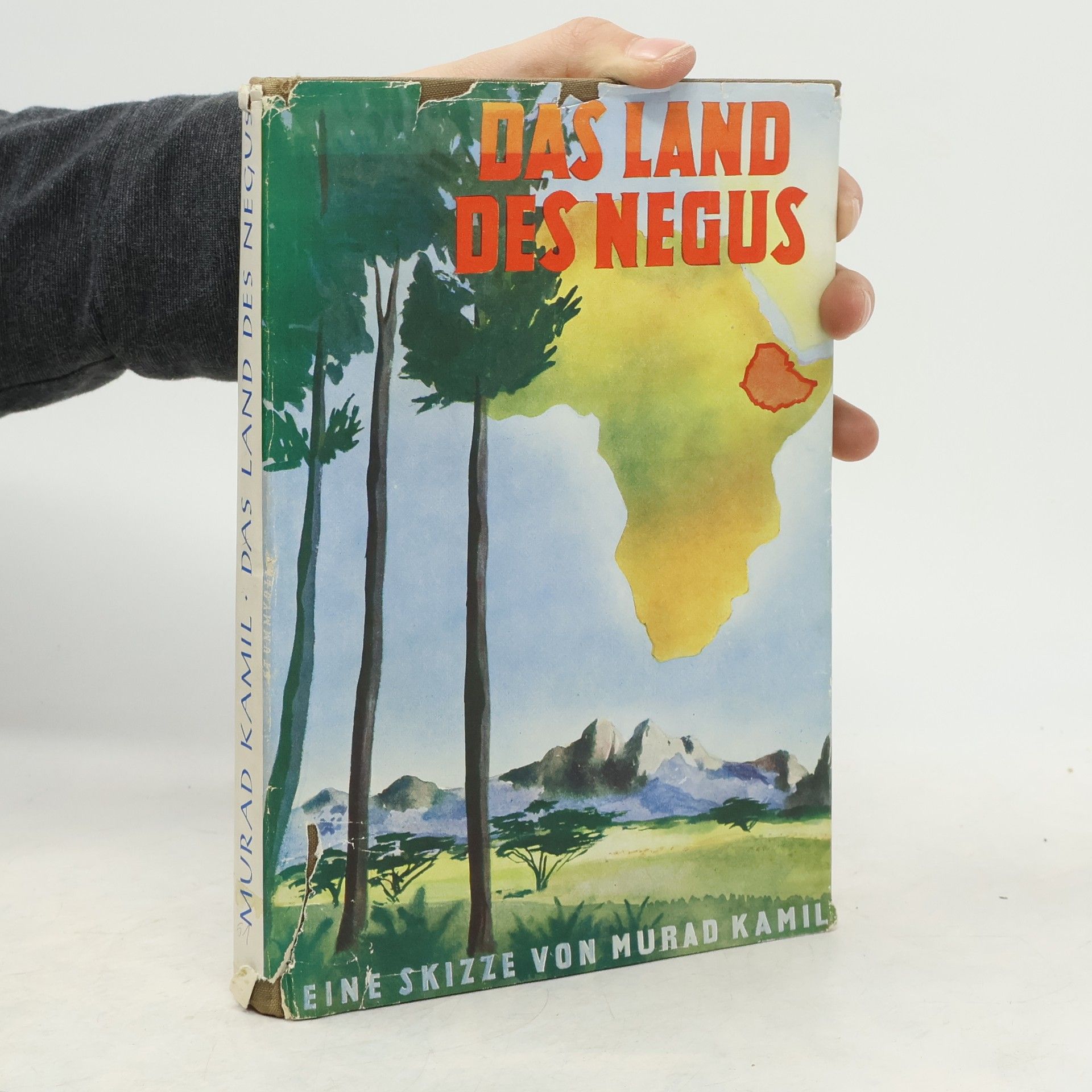 Kamil Murad Das Land des Negus