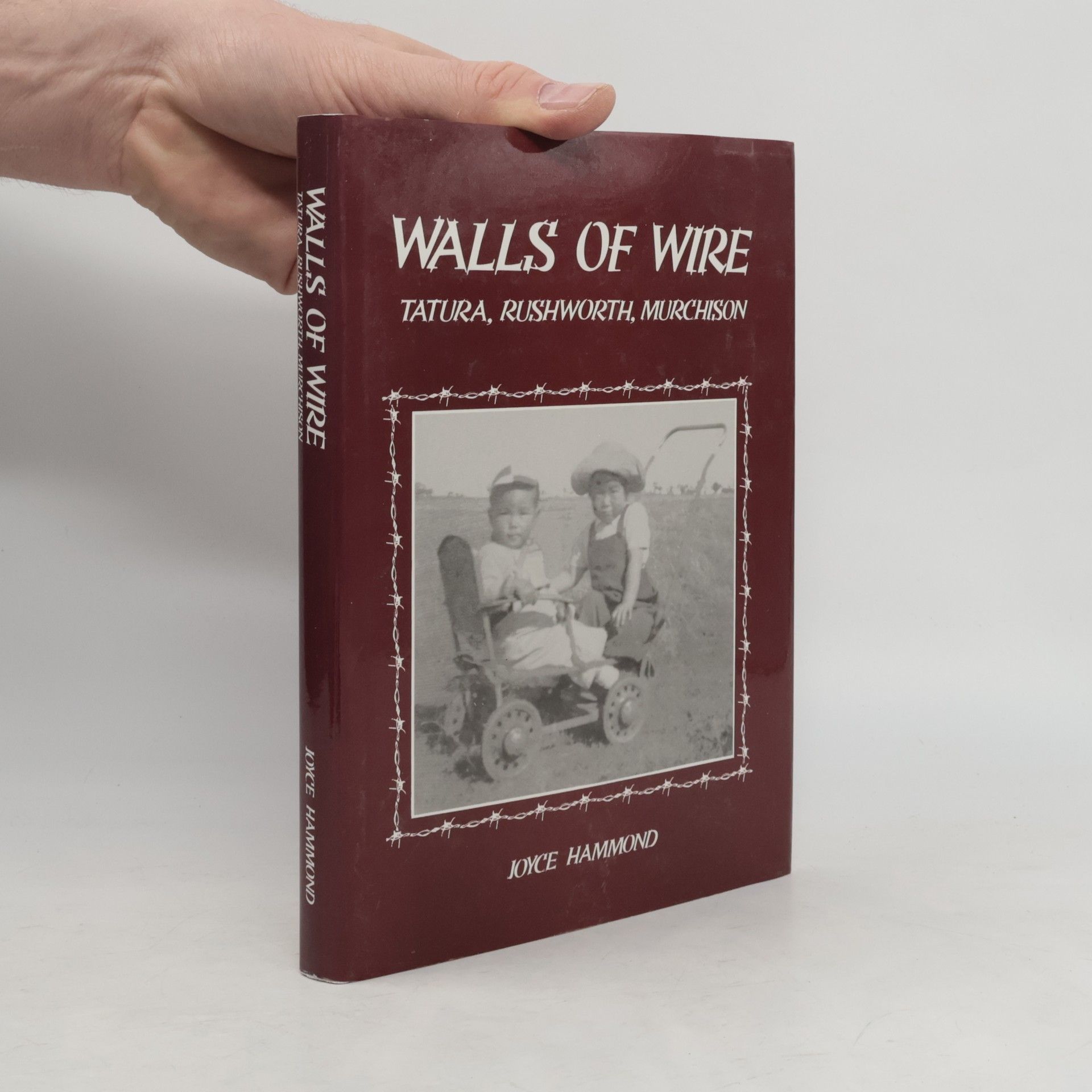 Joyce Hammond Walls of Wire