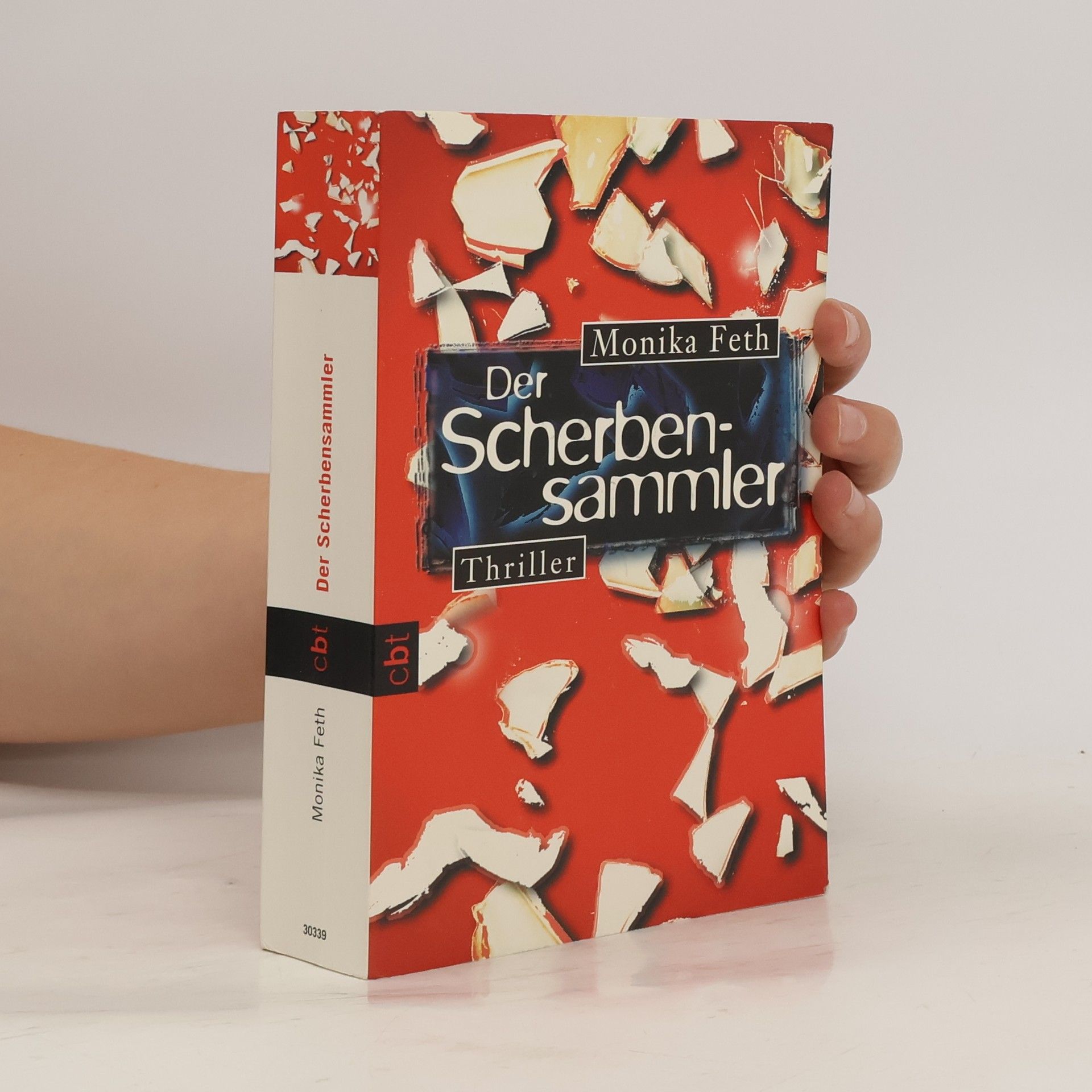 Monika Feth Der Scherbensammler
