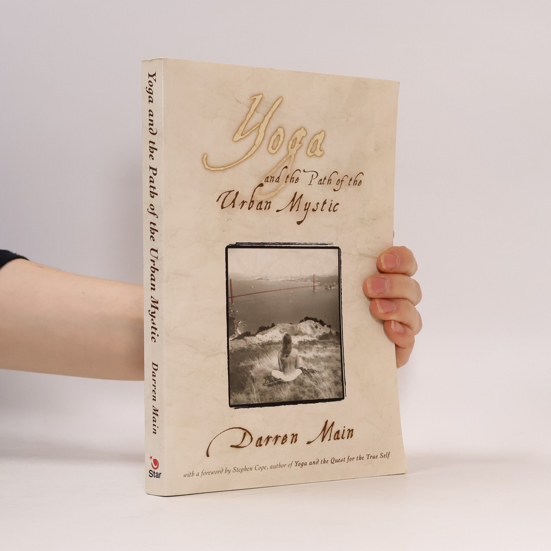 Darren Main Yoga and the Path of the Urban Mystic